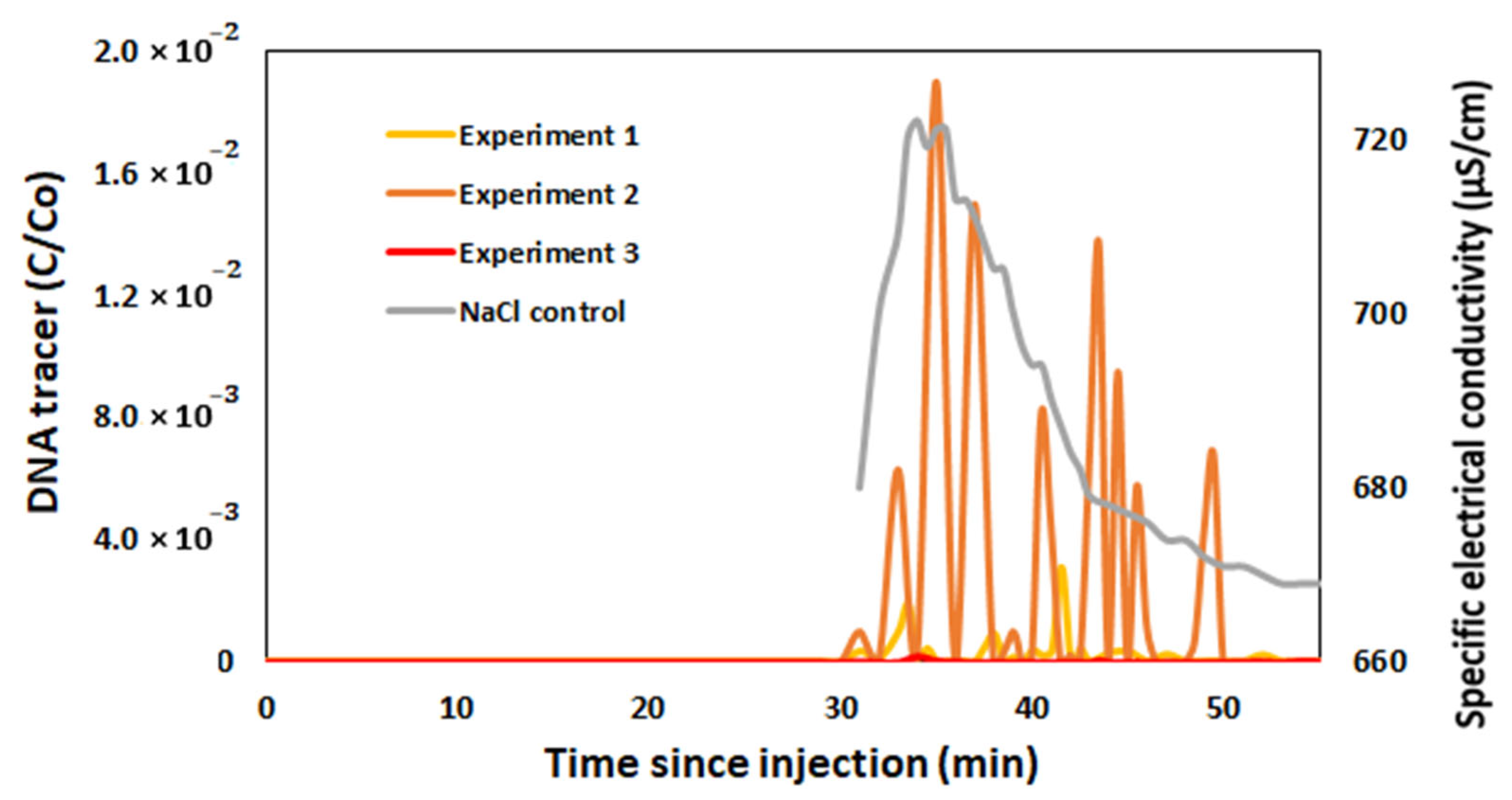 Biomolecules 15 00889 g010
