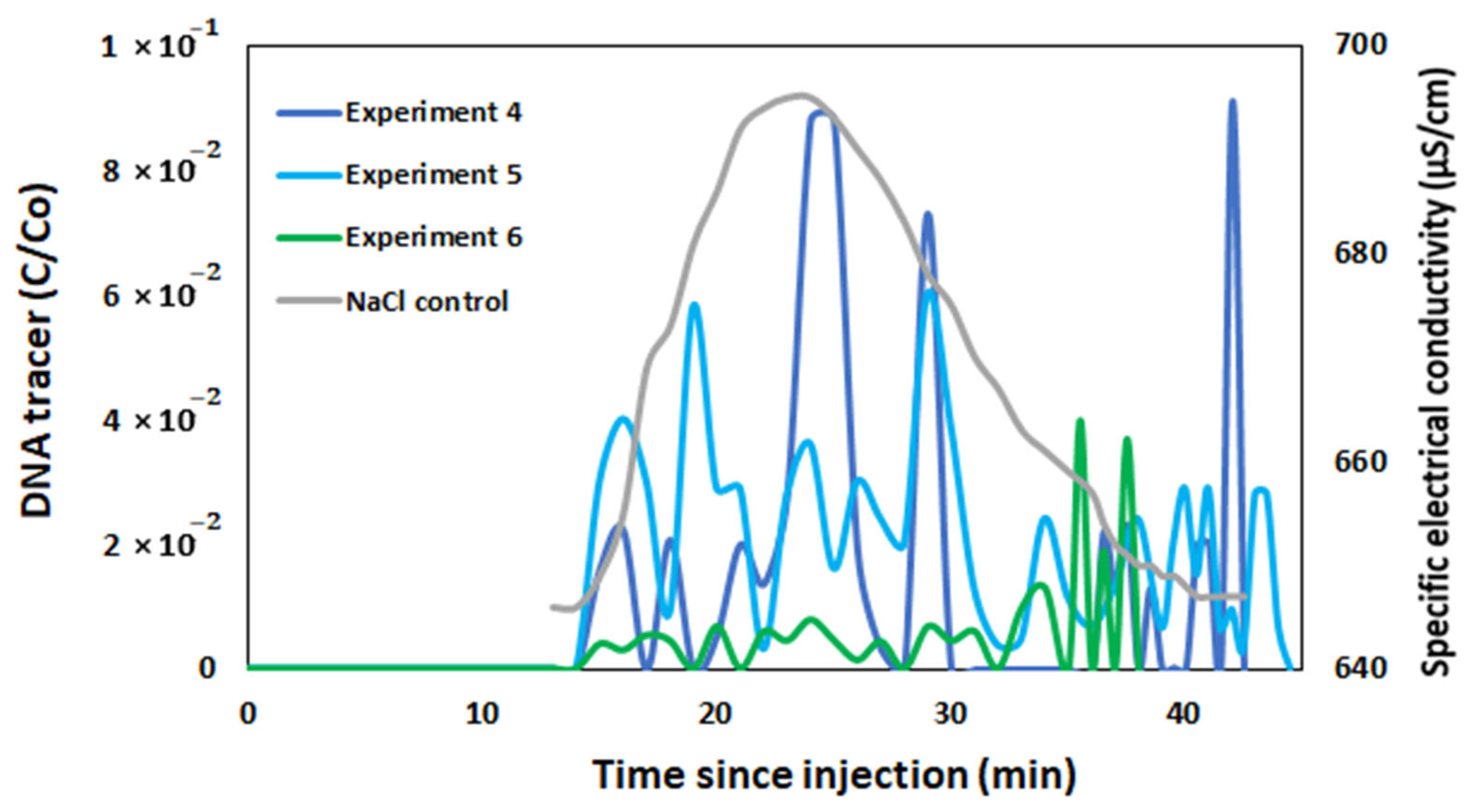 Biomolecules 15 00889 g011