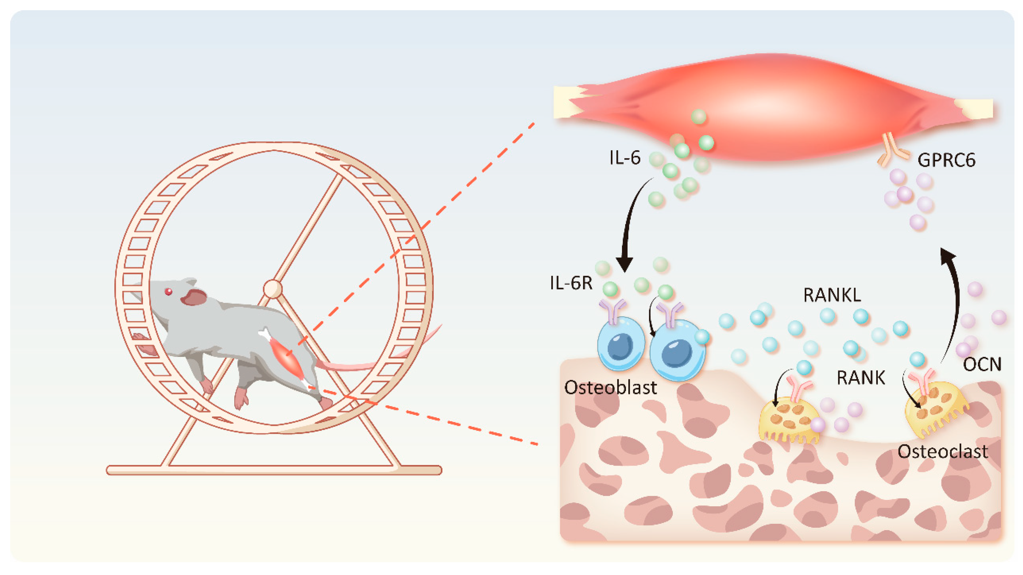 Biomolecules 15 00893 g002