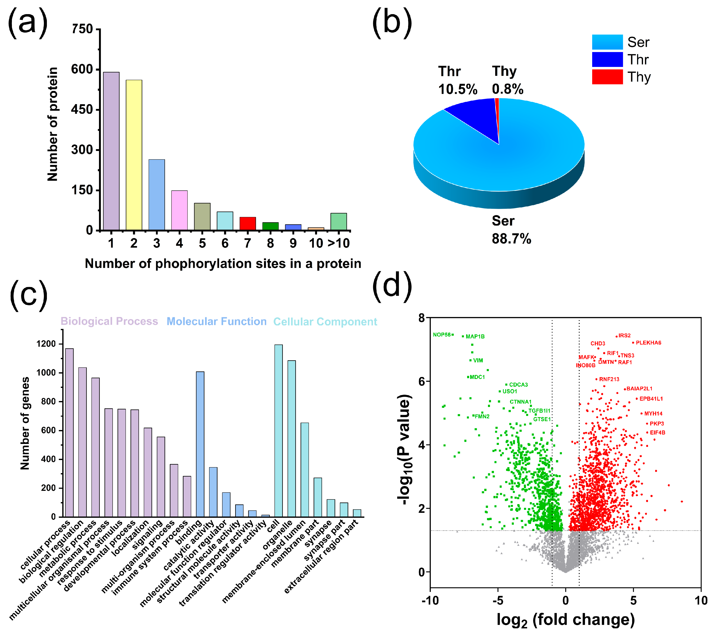 Biomolecules 15 00894 g004