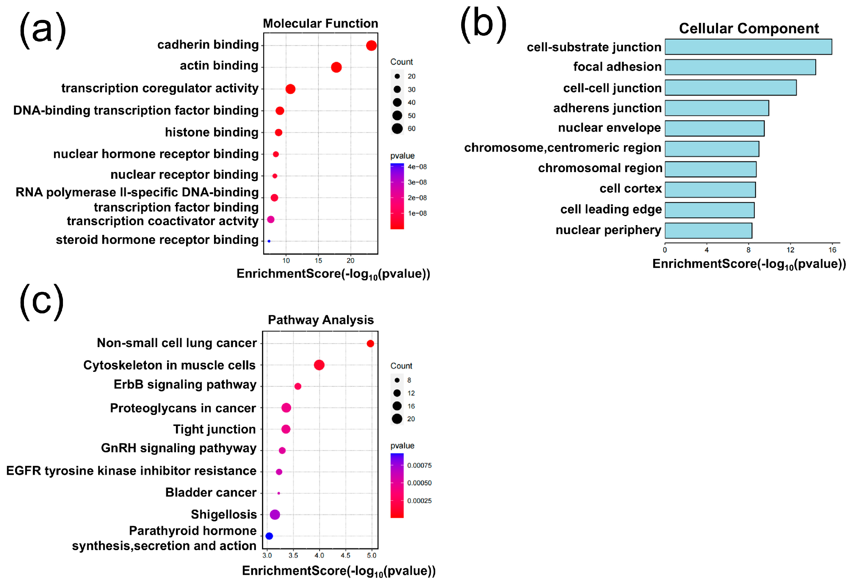 Biomolecules 15 00894 g005