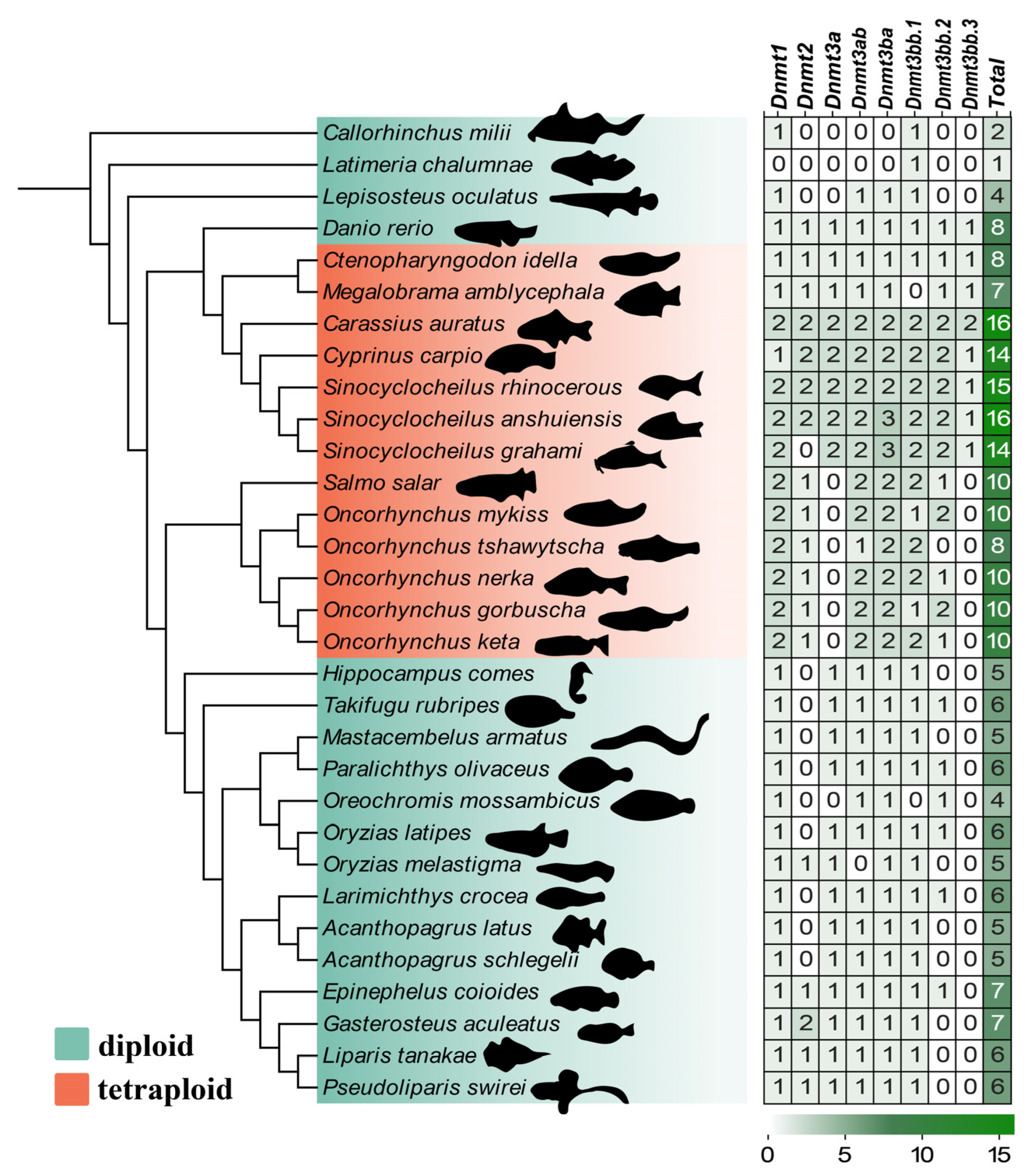 Biomolecules 15 00896 g001