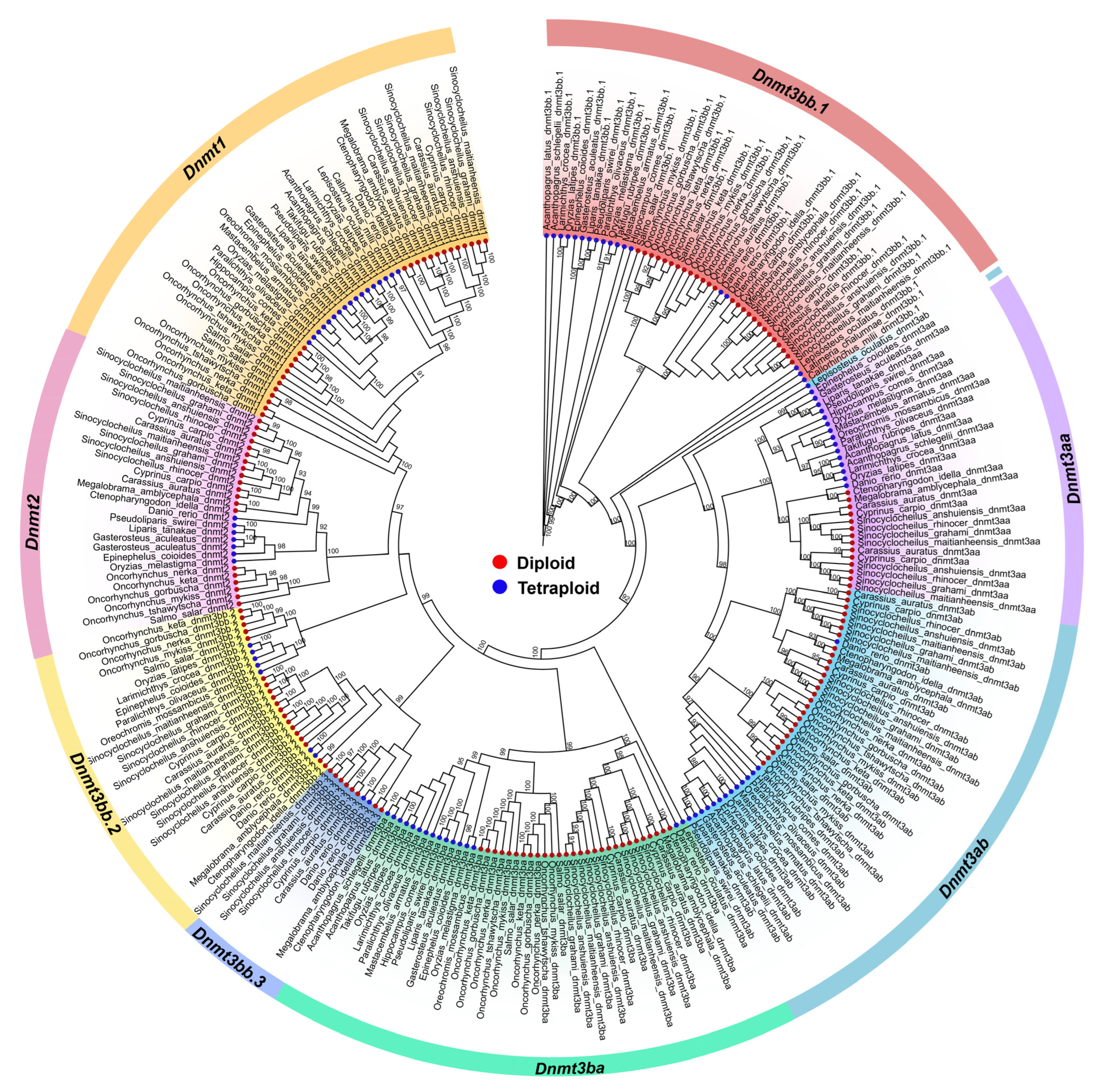 Biomolecules 15 00896 g002