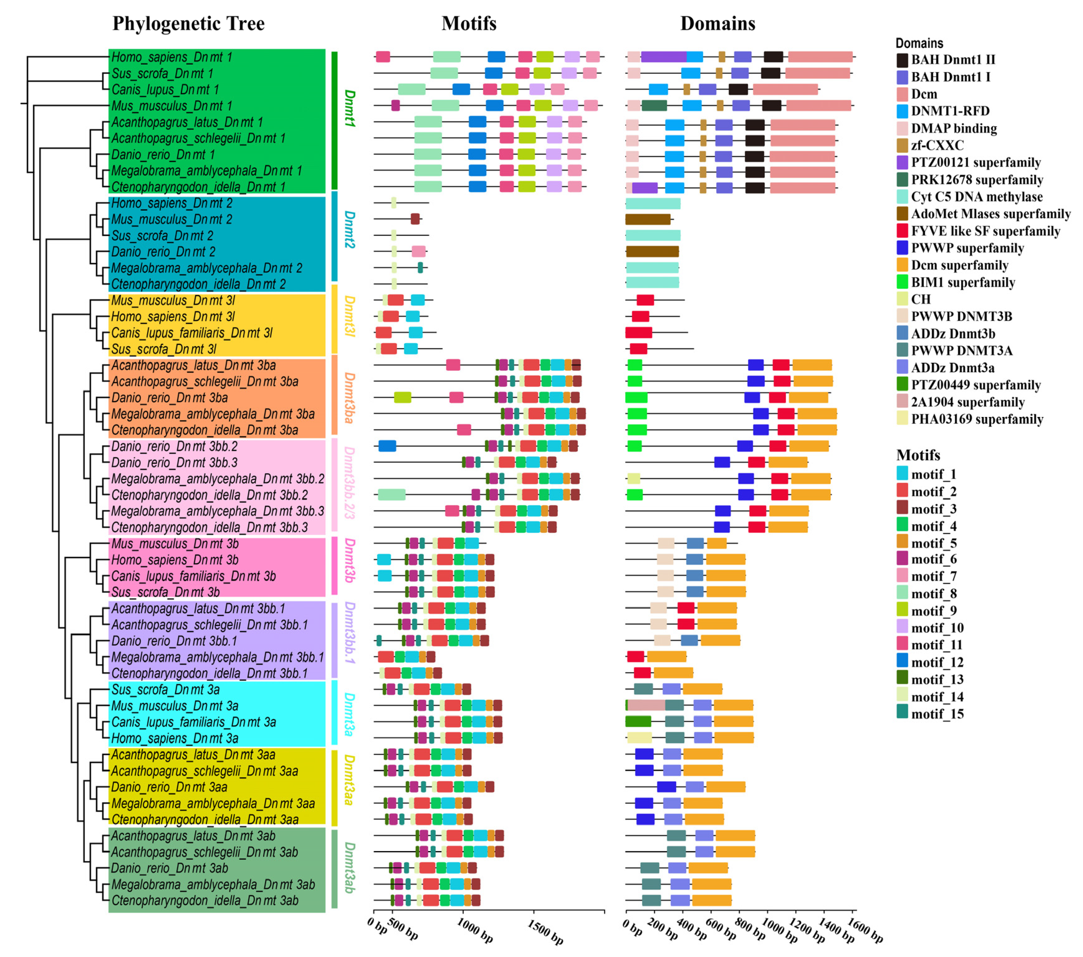 Biomolecules 15 00896 g004