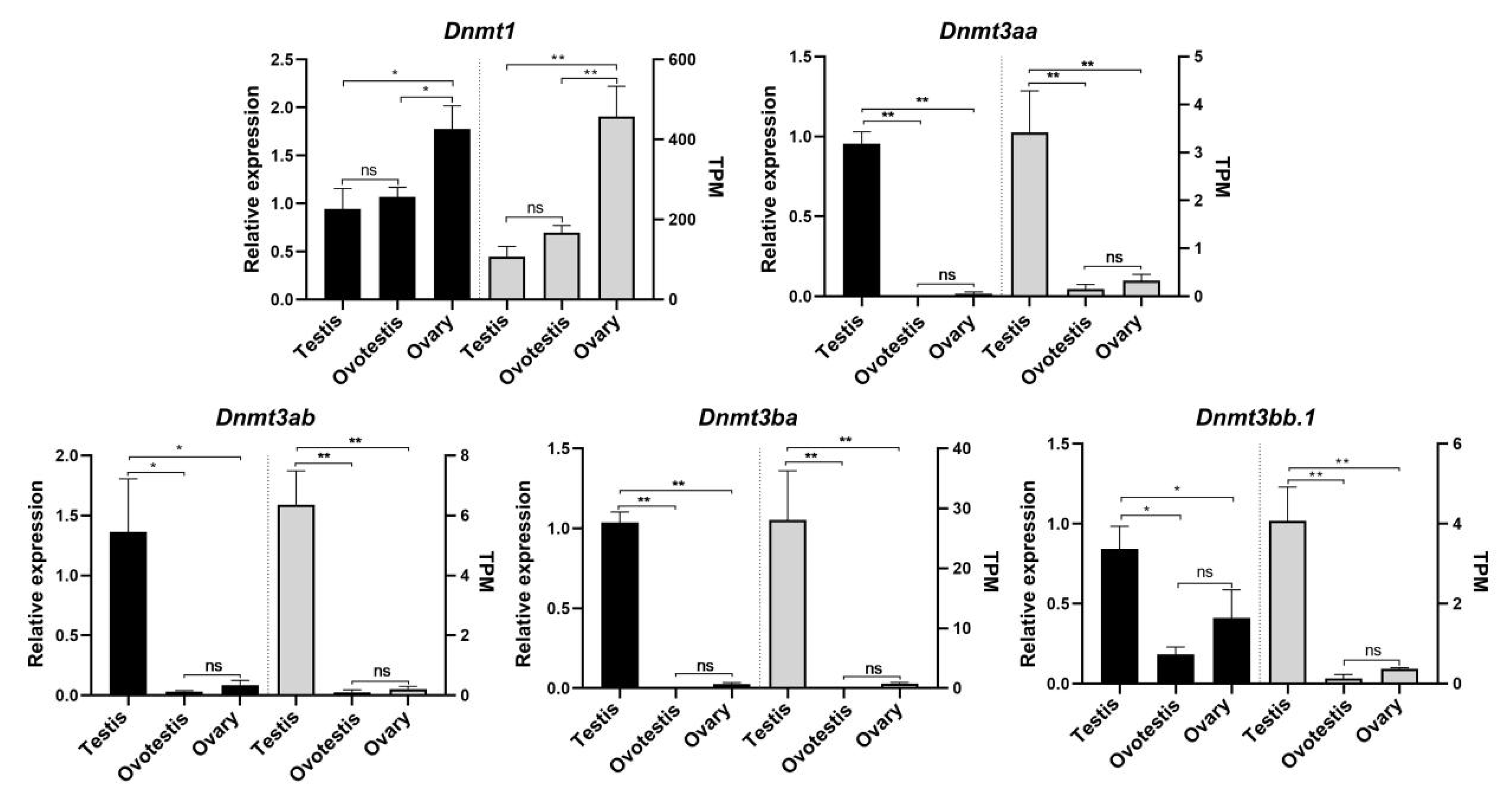 Biomolecules 15 00896 g007