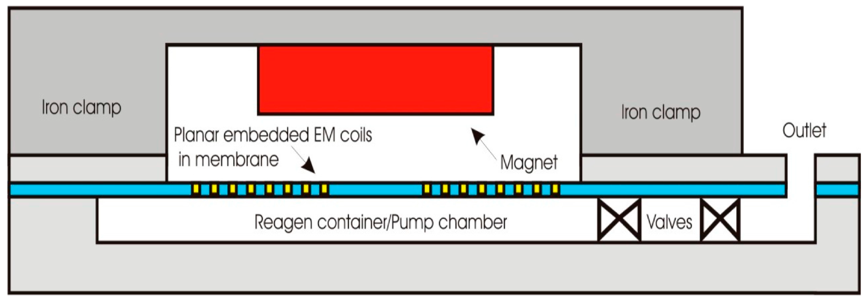 Biomolecules 15 00898 g003