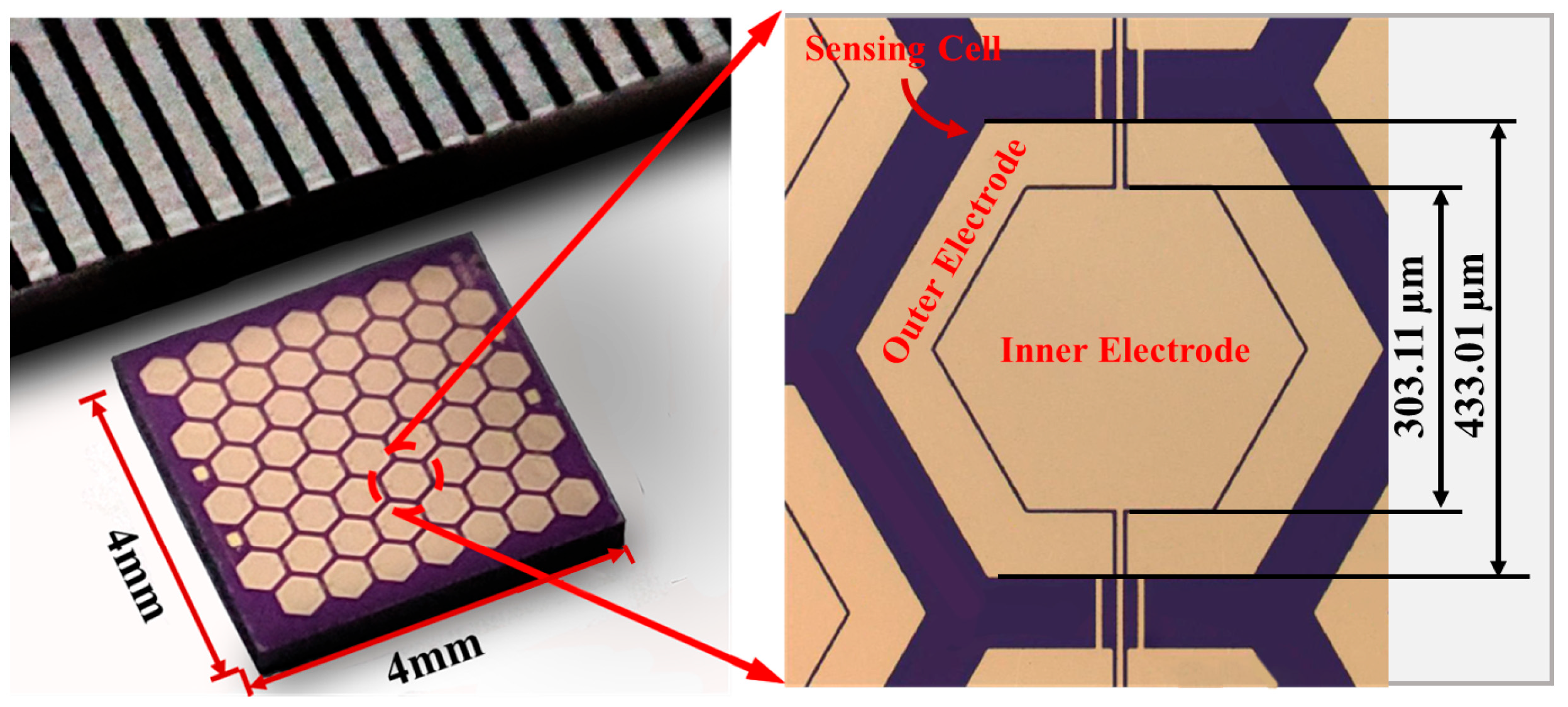 Biomolecules 15 00898 g005