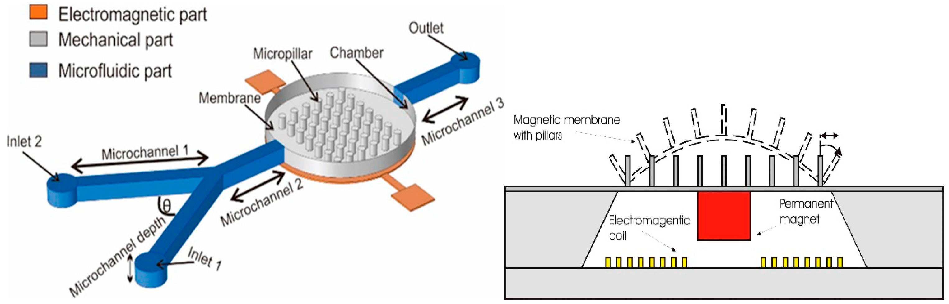 Biomolecules 15 00898 g006