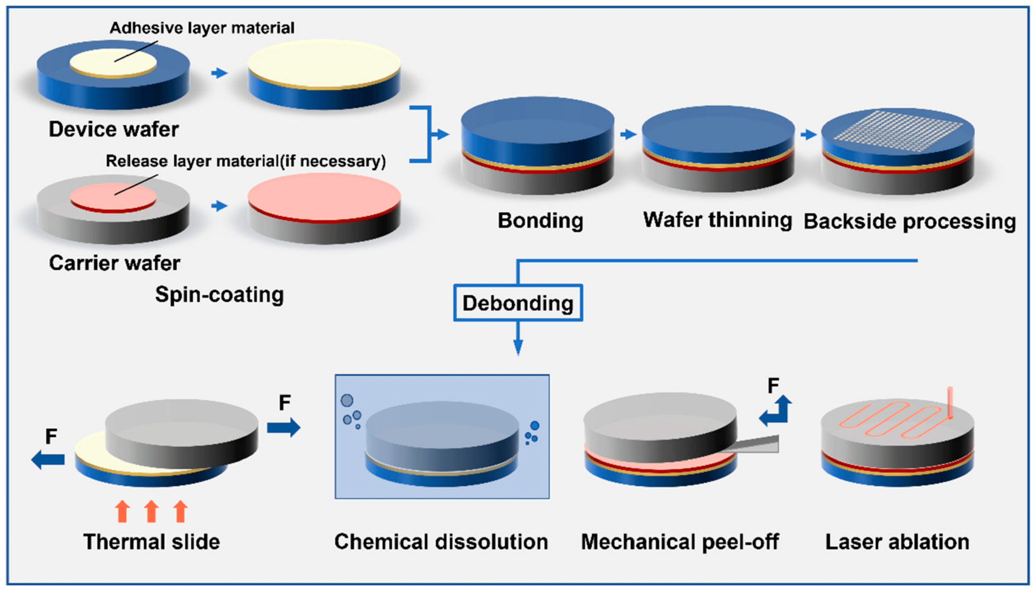 Biomolecules 15 00898 g011
