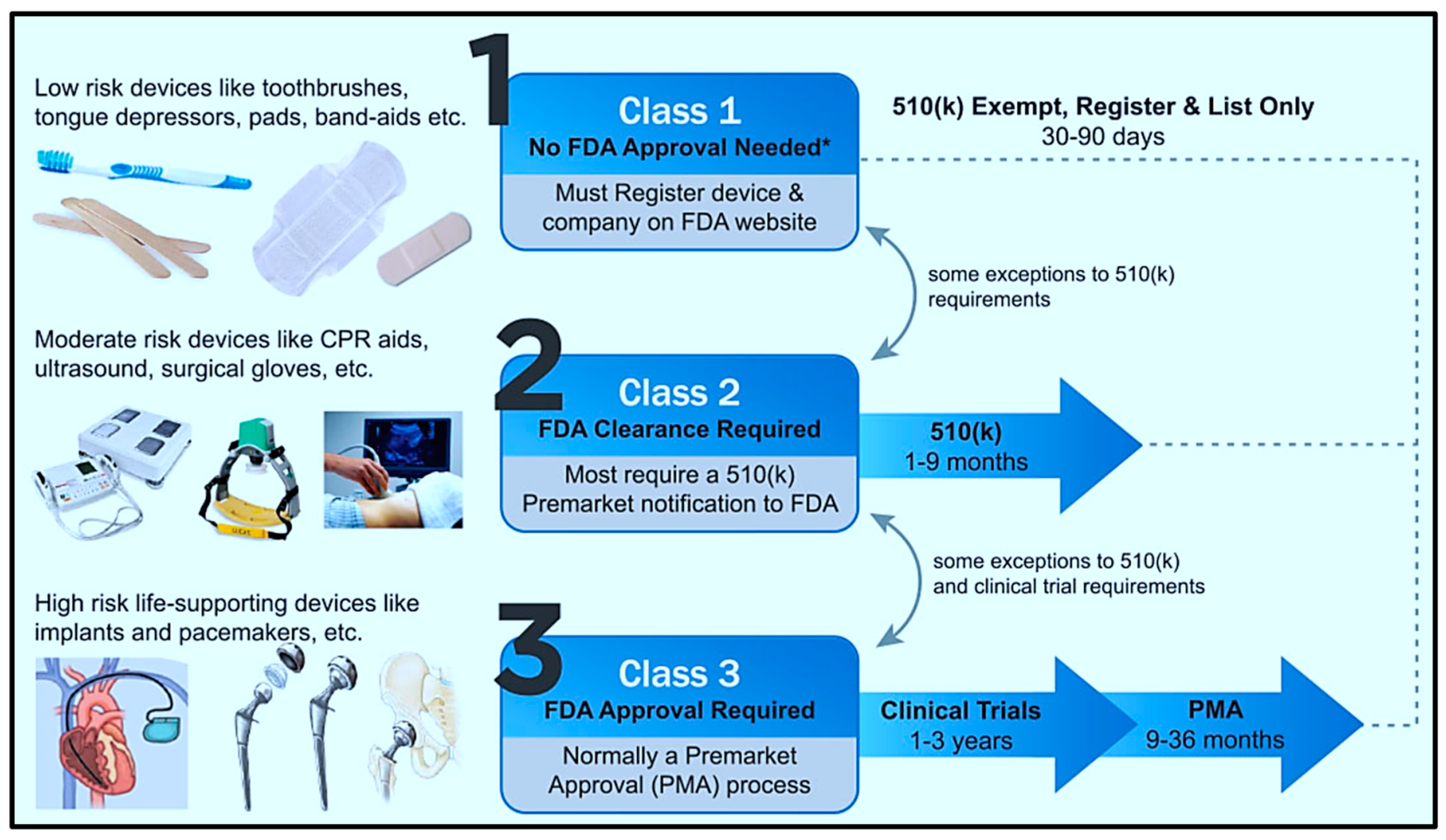 Biomolecules 15 00898 g017