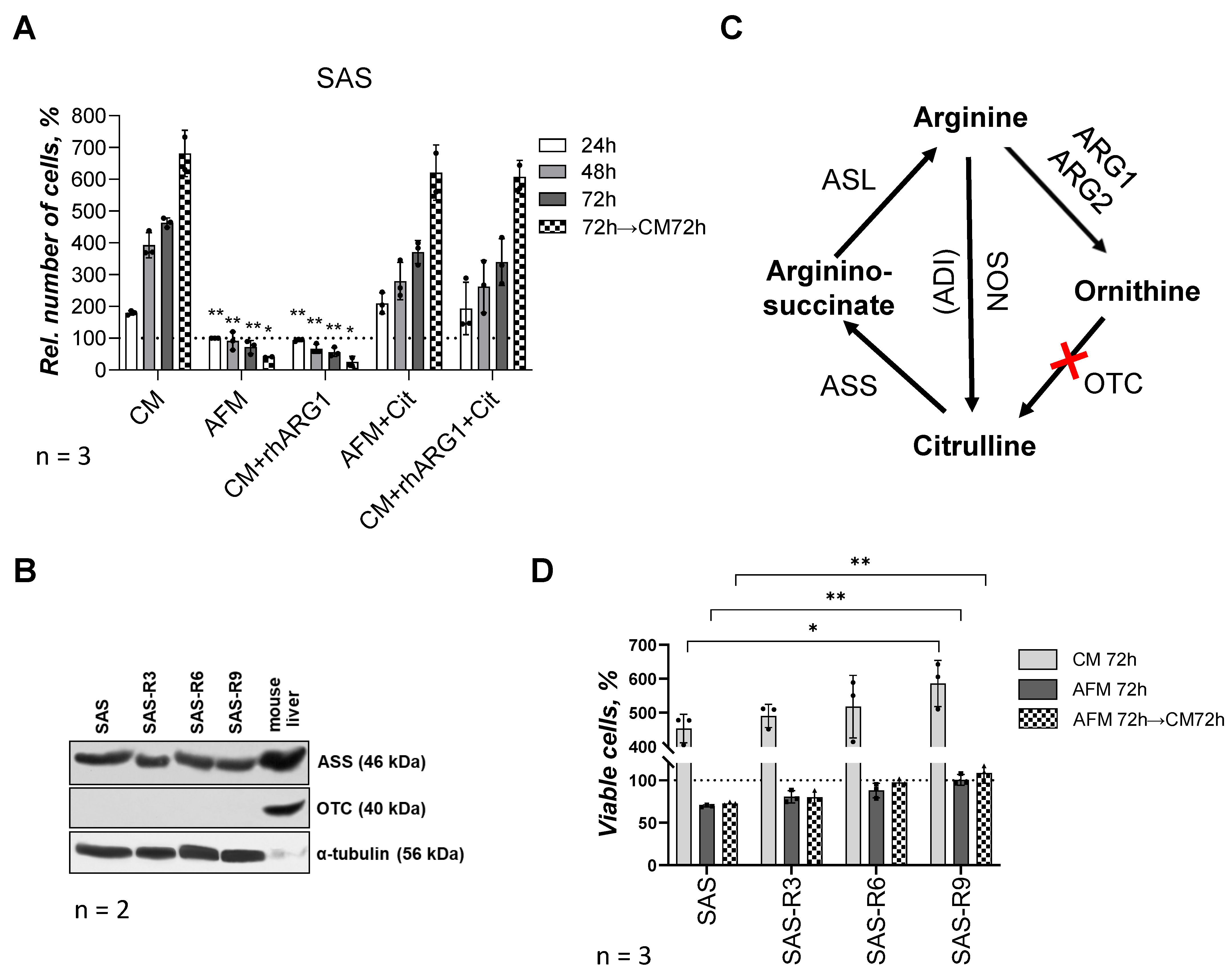 Biomolecules 15 00900 g001