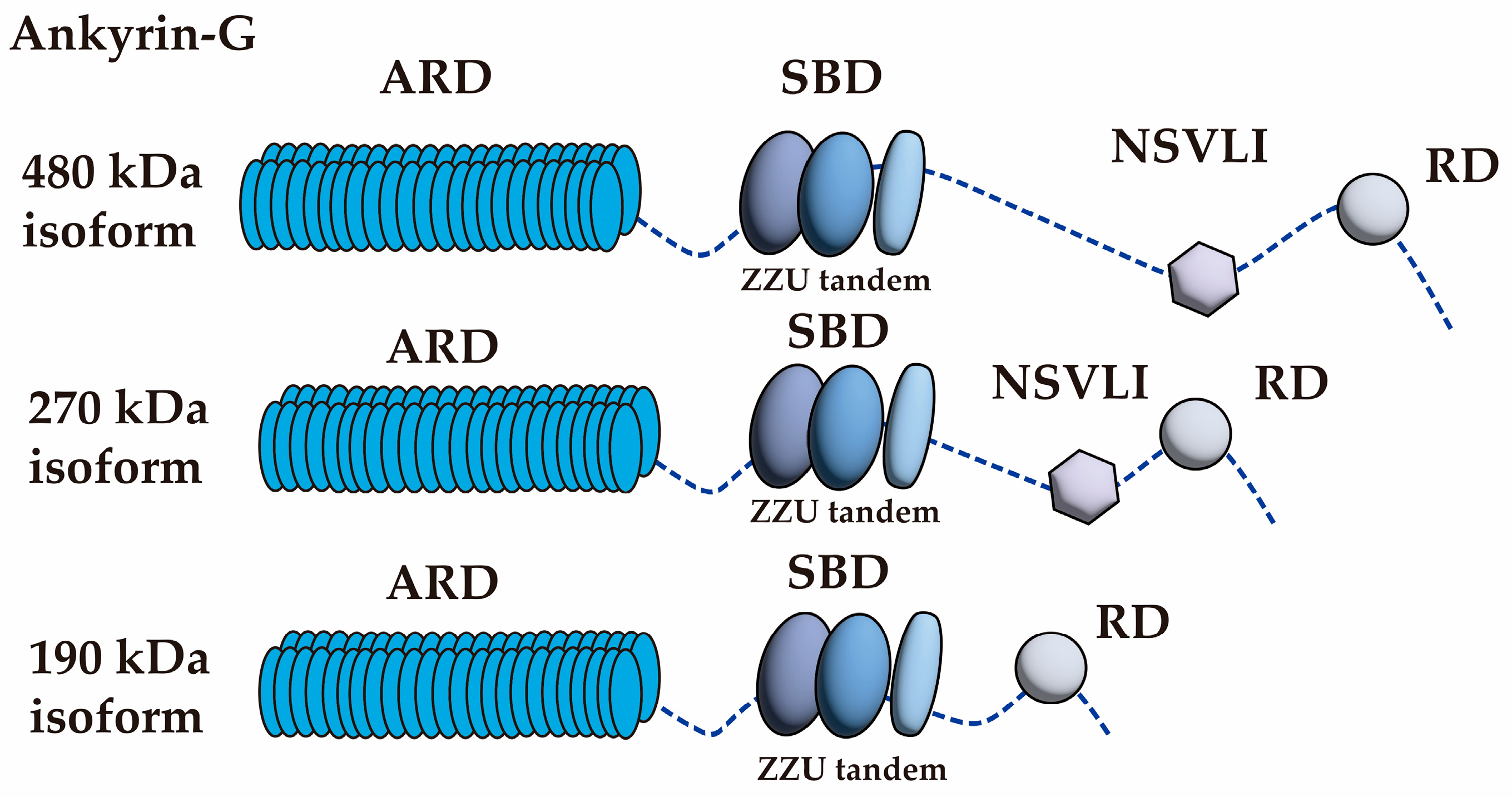 Biomolecules 15 00901 g003