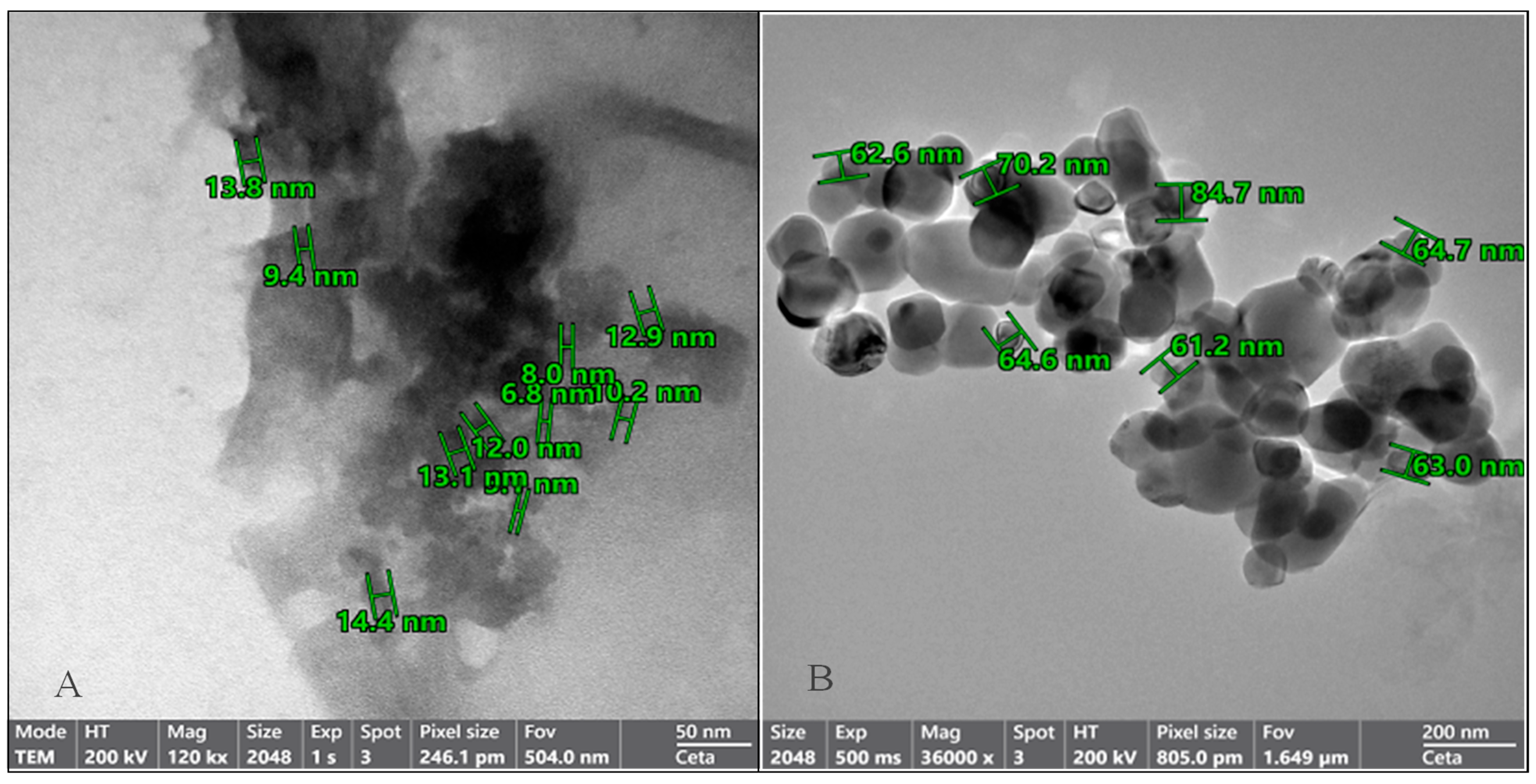 Biomolecules 15 00902 g003