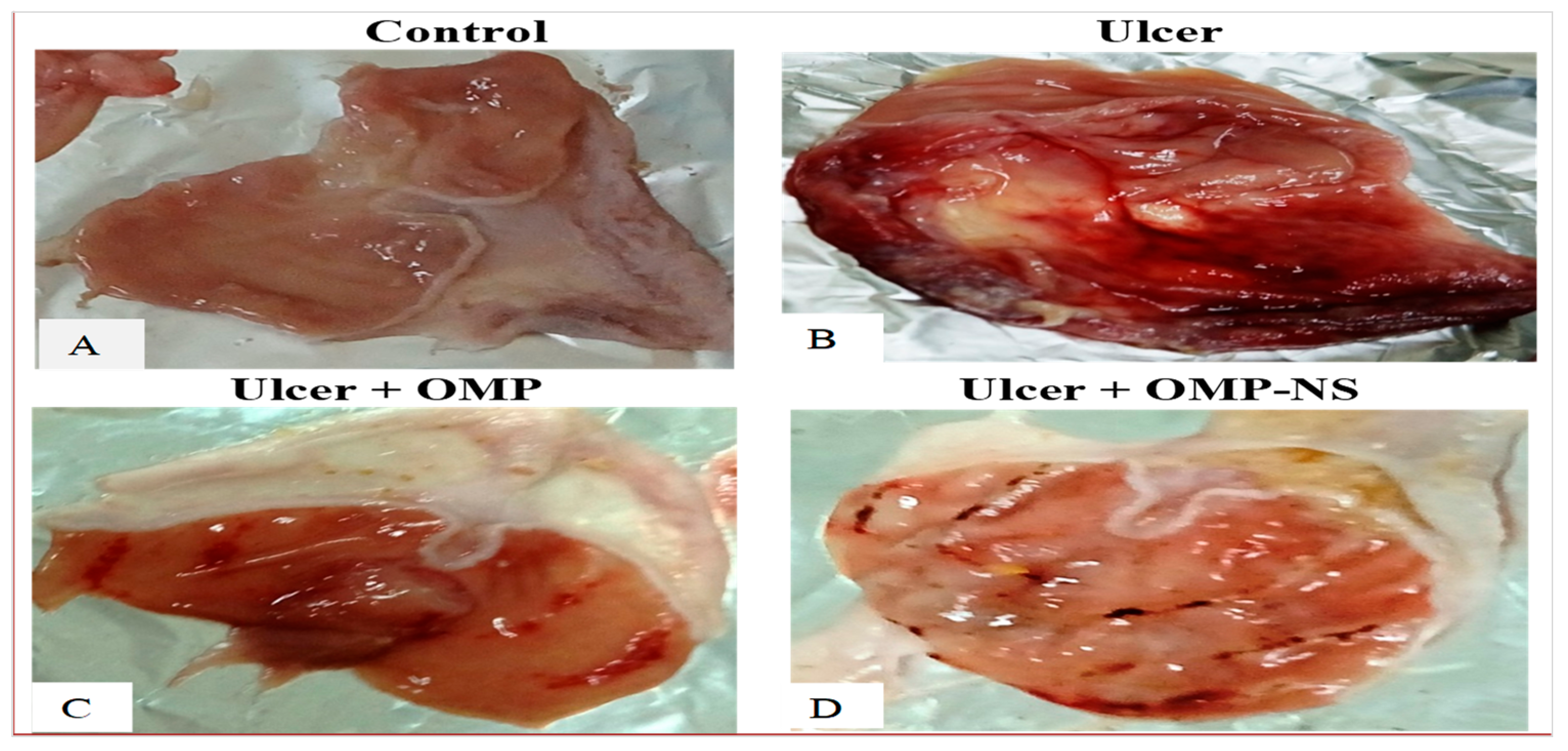 Biomolecules 15 00902 g008