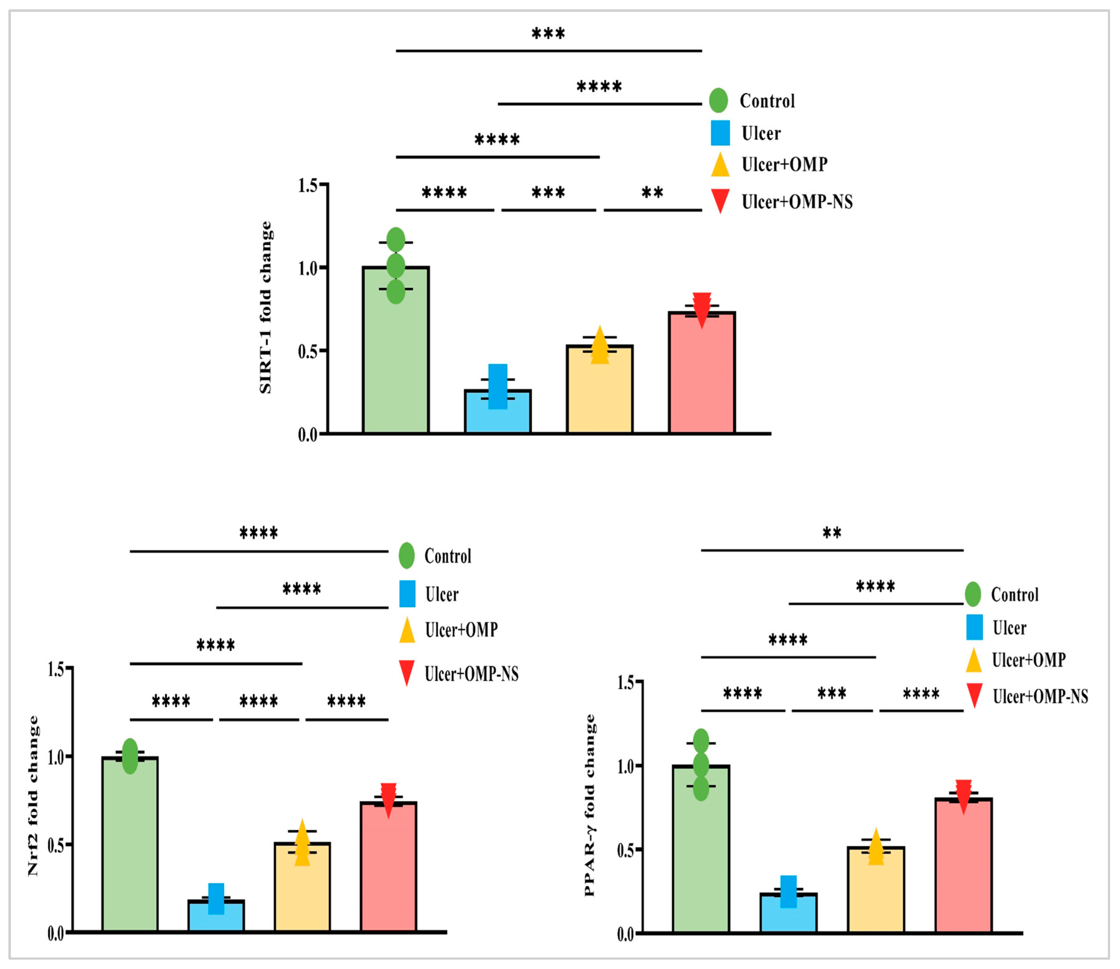 Biomolecules 15 00902 g012