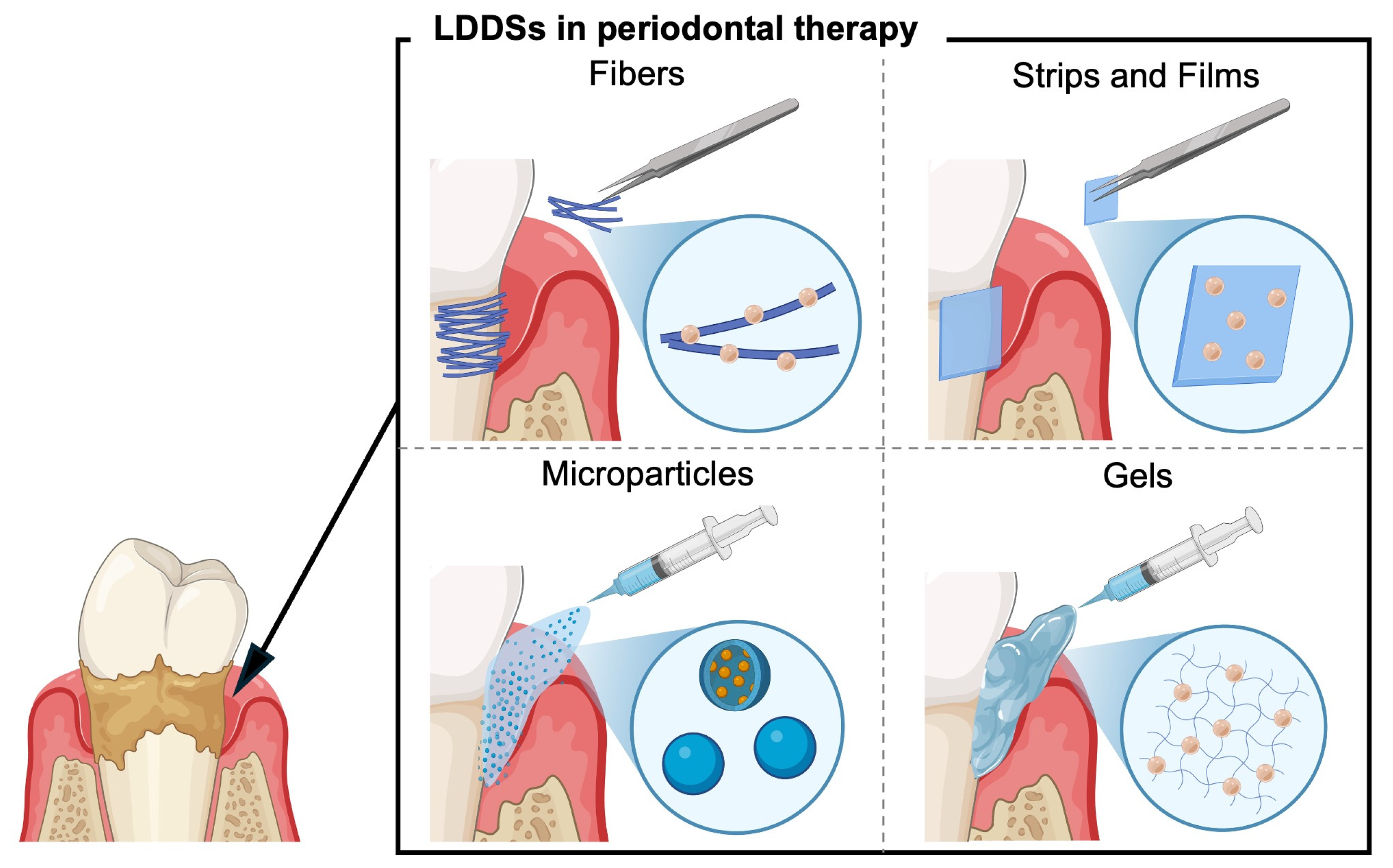 Biomolecules 15 00903 g001