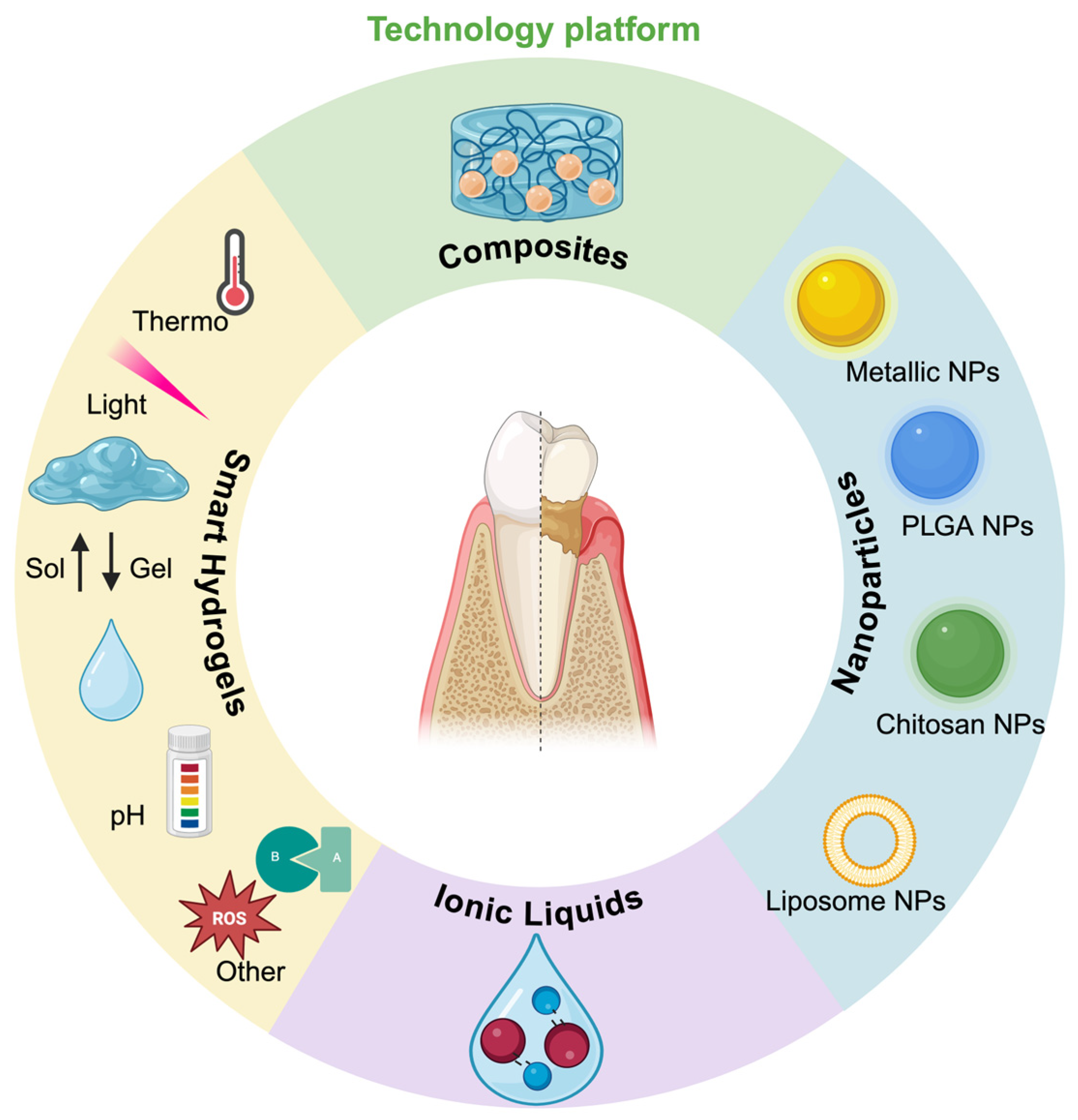 Biomolecules 15 00903 g002