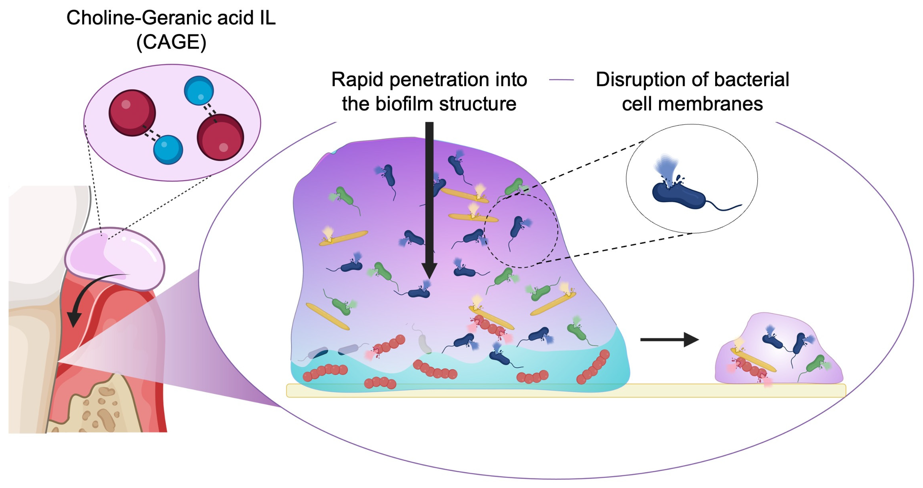 Biomolecules 15 00903 g003