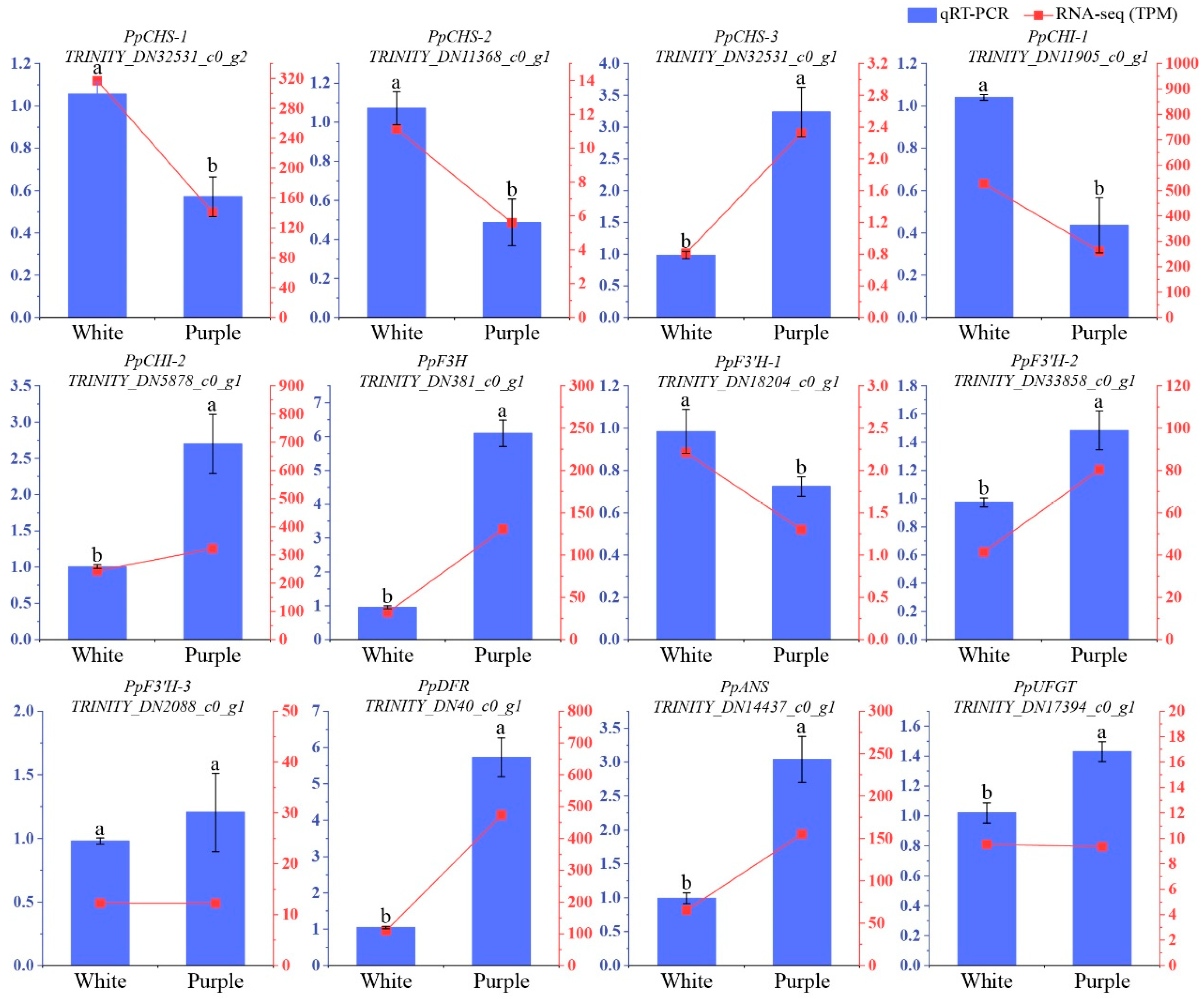 Biomolecules 15 00906 g004