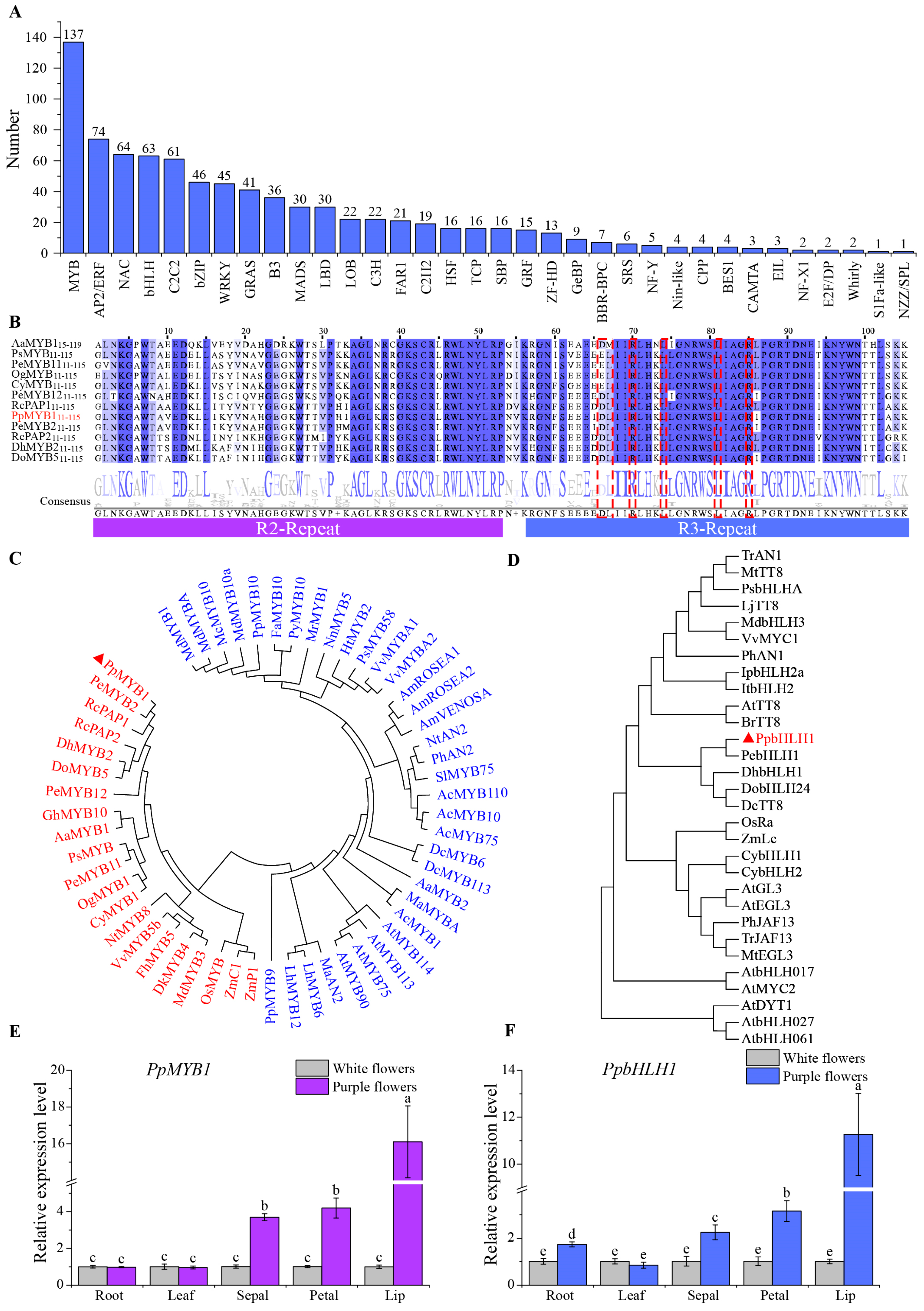 Biomolecules 15 00906 g005