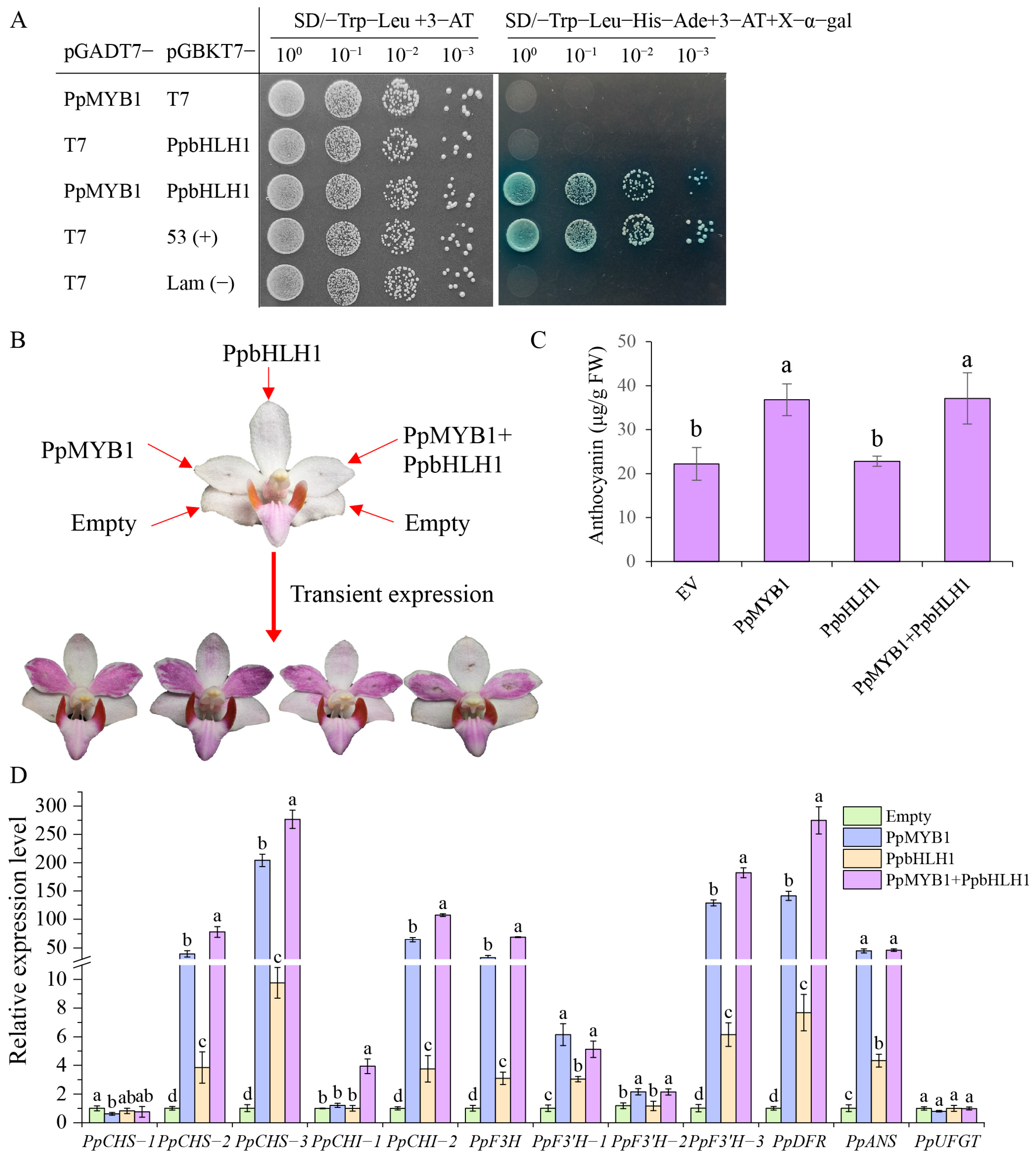 Biomolecules 15 00906 g006