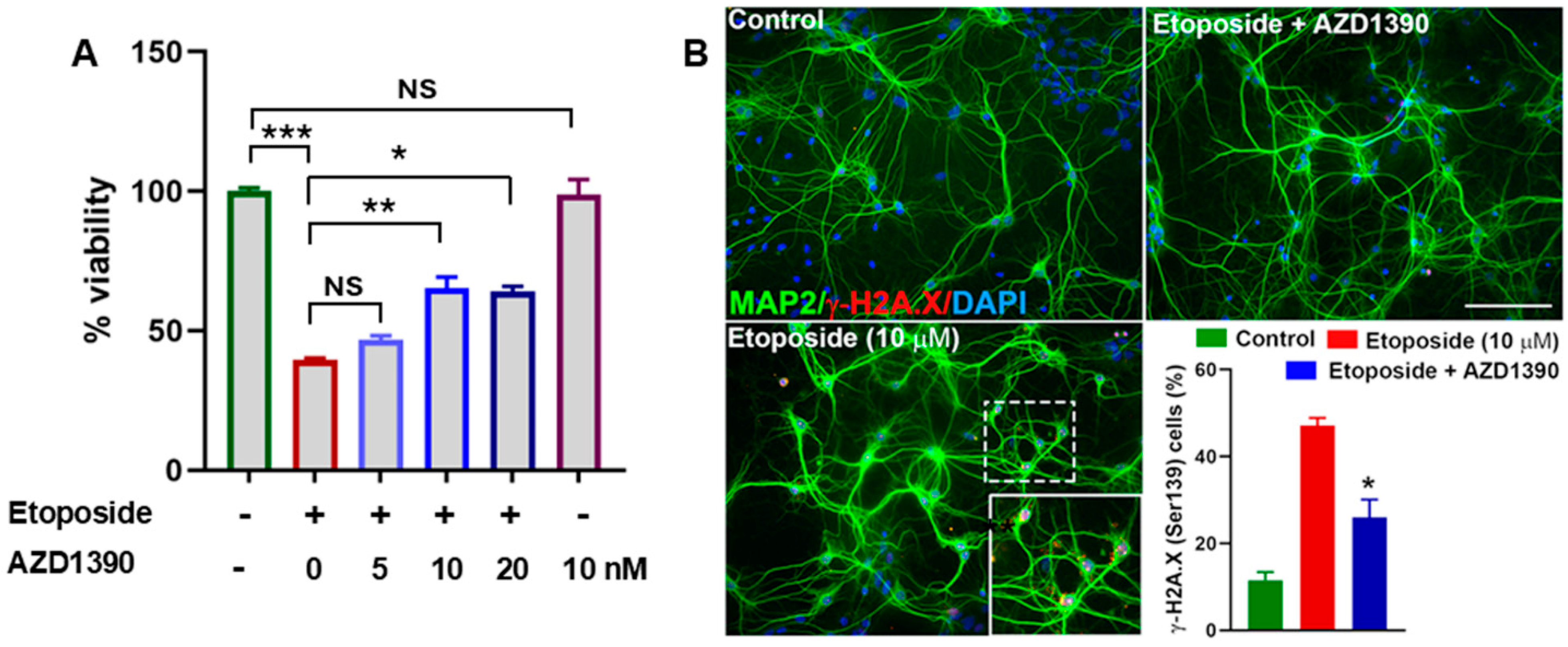 Biomolecules 15 00907 g001