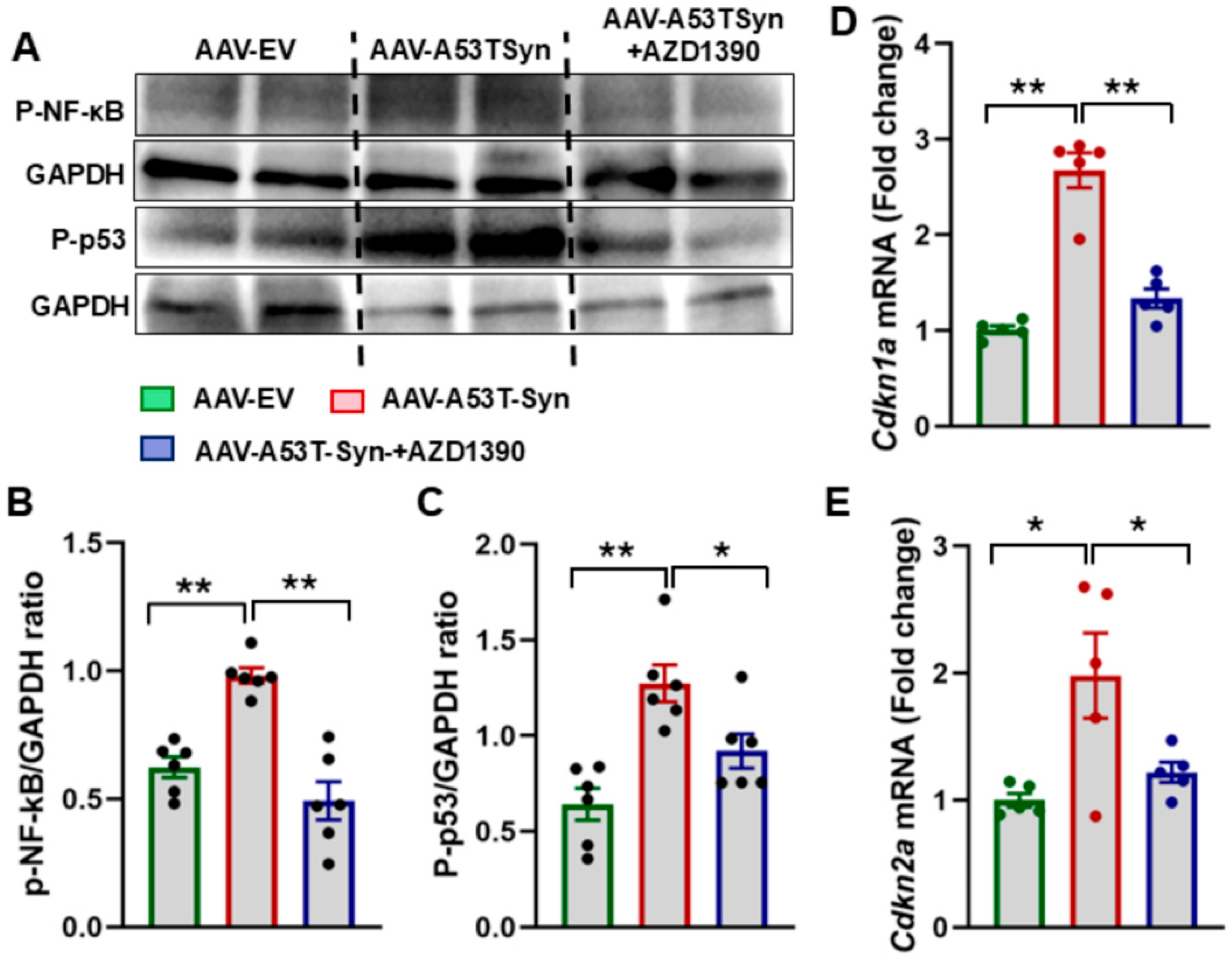 Biomolecules 15 00907 g003