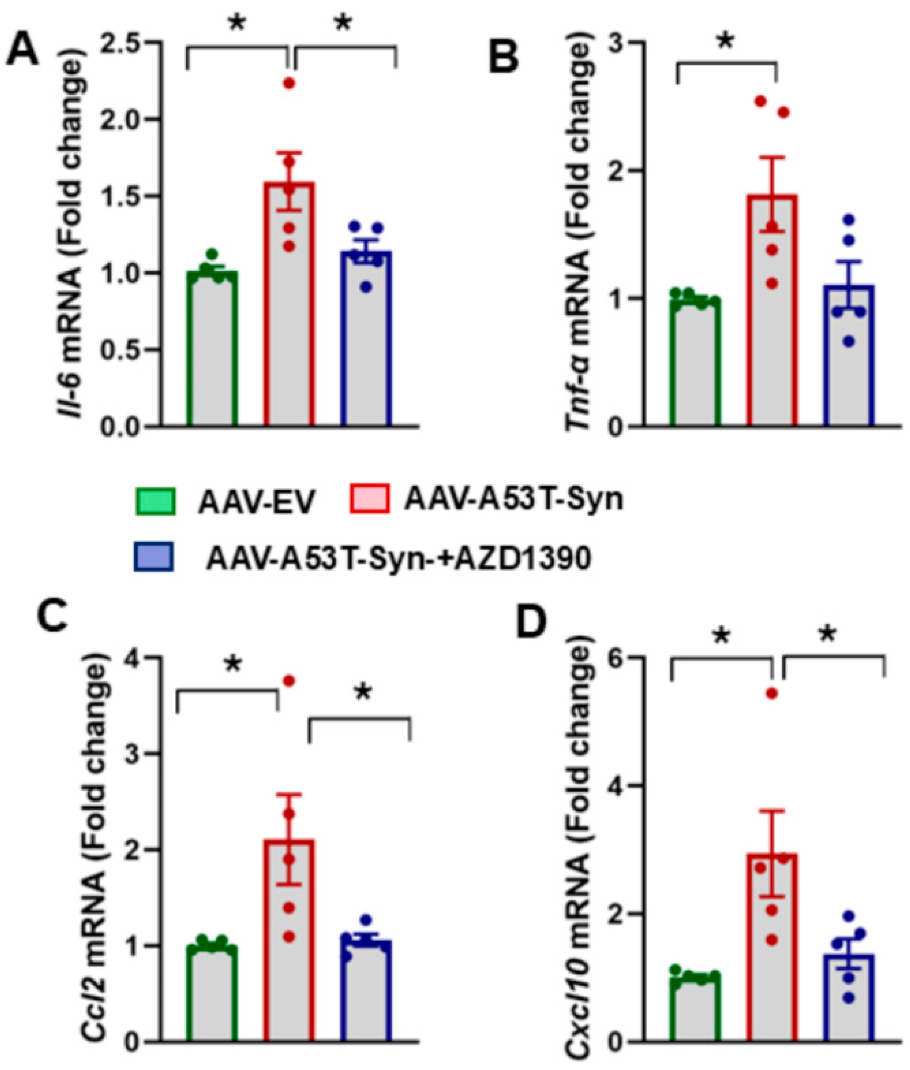 Biomolecules 15 00907 g004