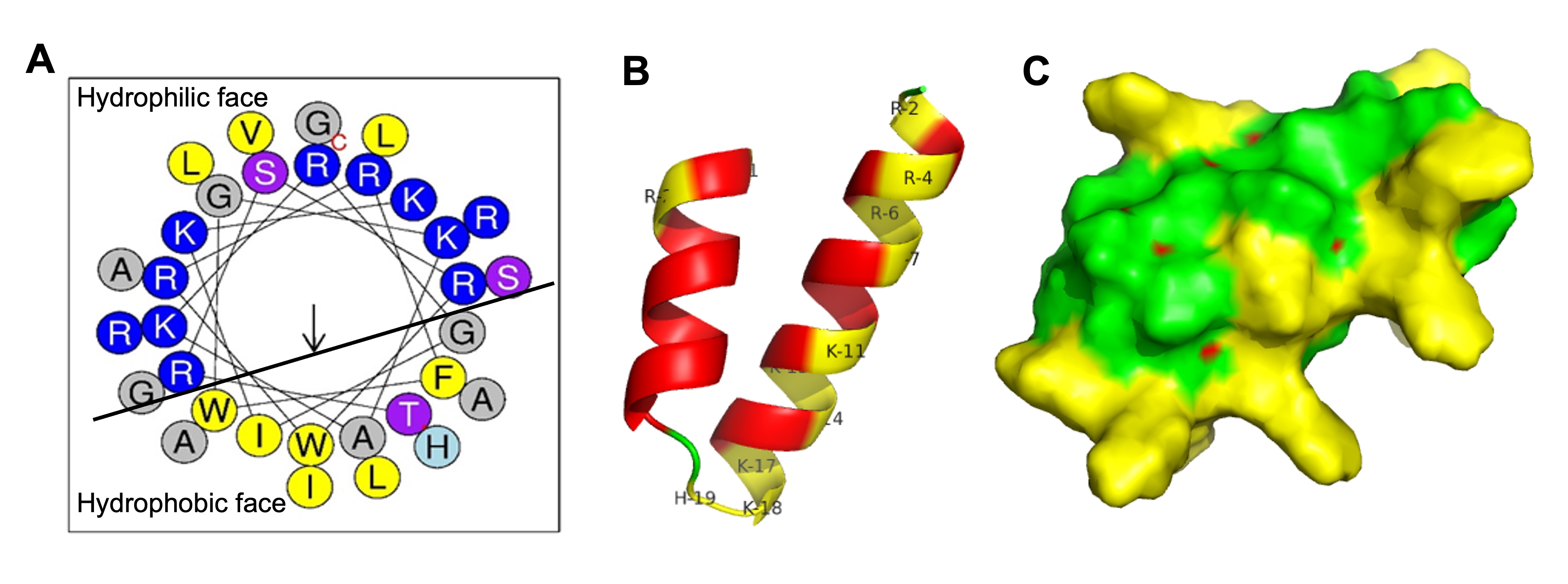 Biomolecules 15 00908 g007