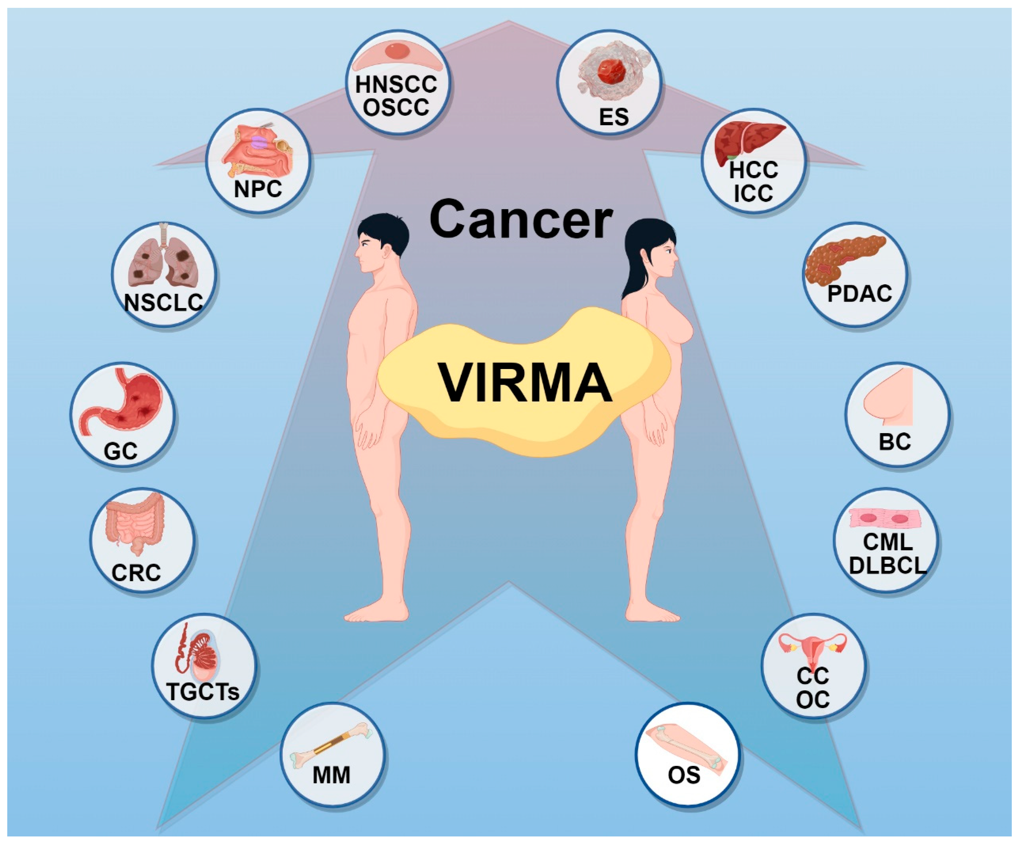 Biomolecules 15 00912 g002