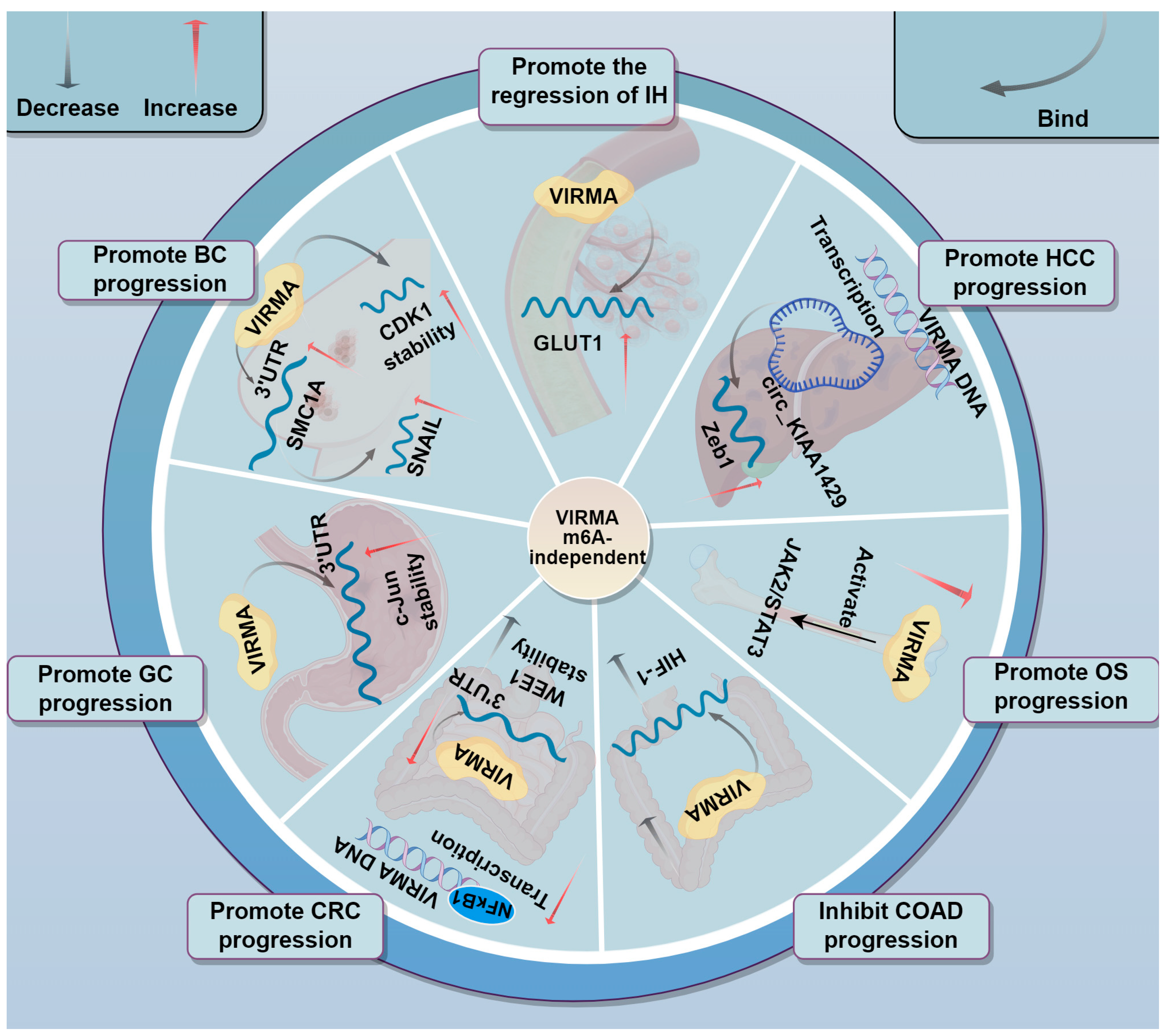 Biomolecules 15 00912 g005