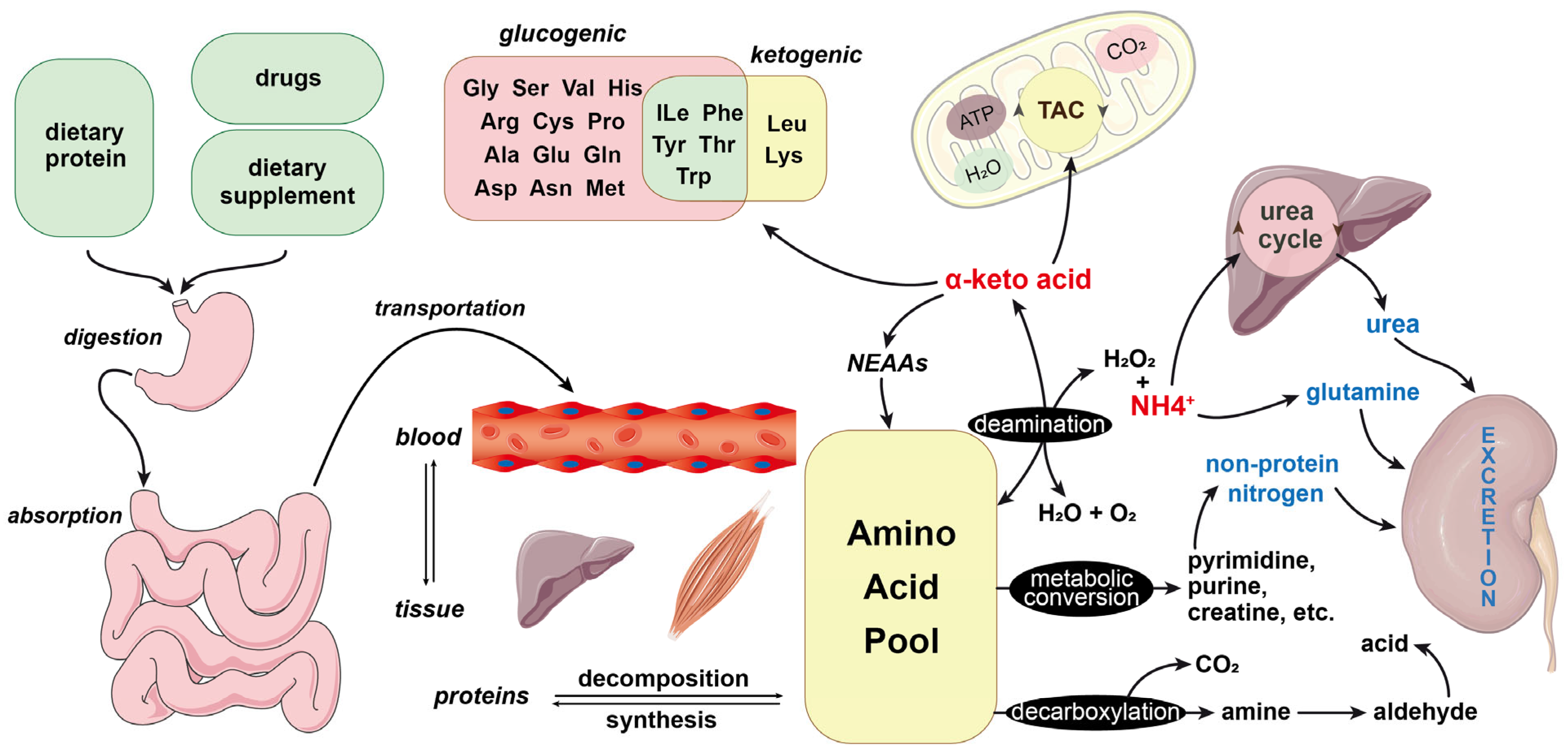 AI©︎ Redirecting Incident Light with Mie Resonance-Based Coatings