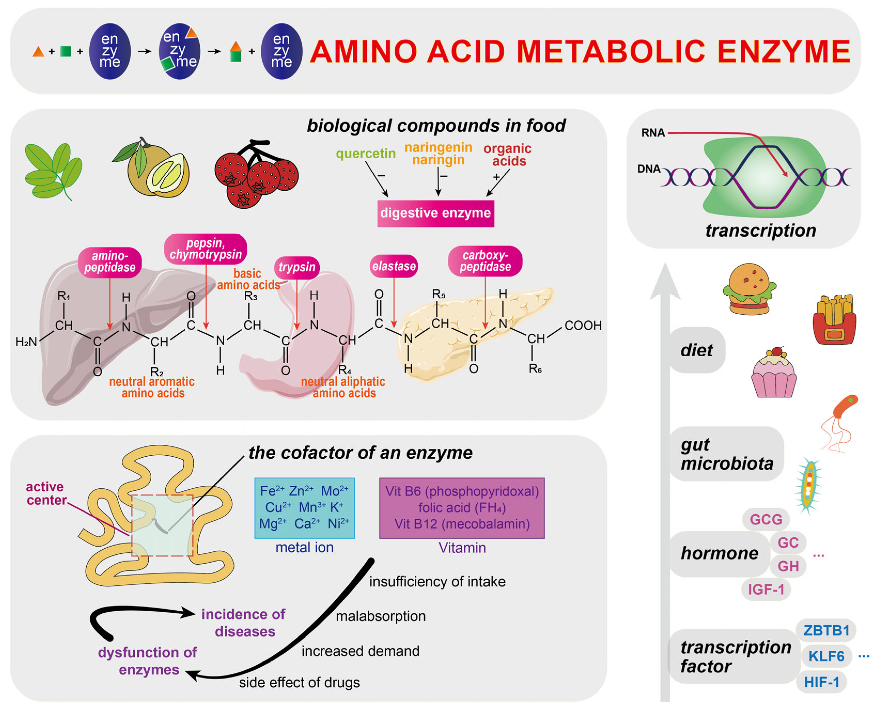 Biomolecules 15 00916 g002