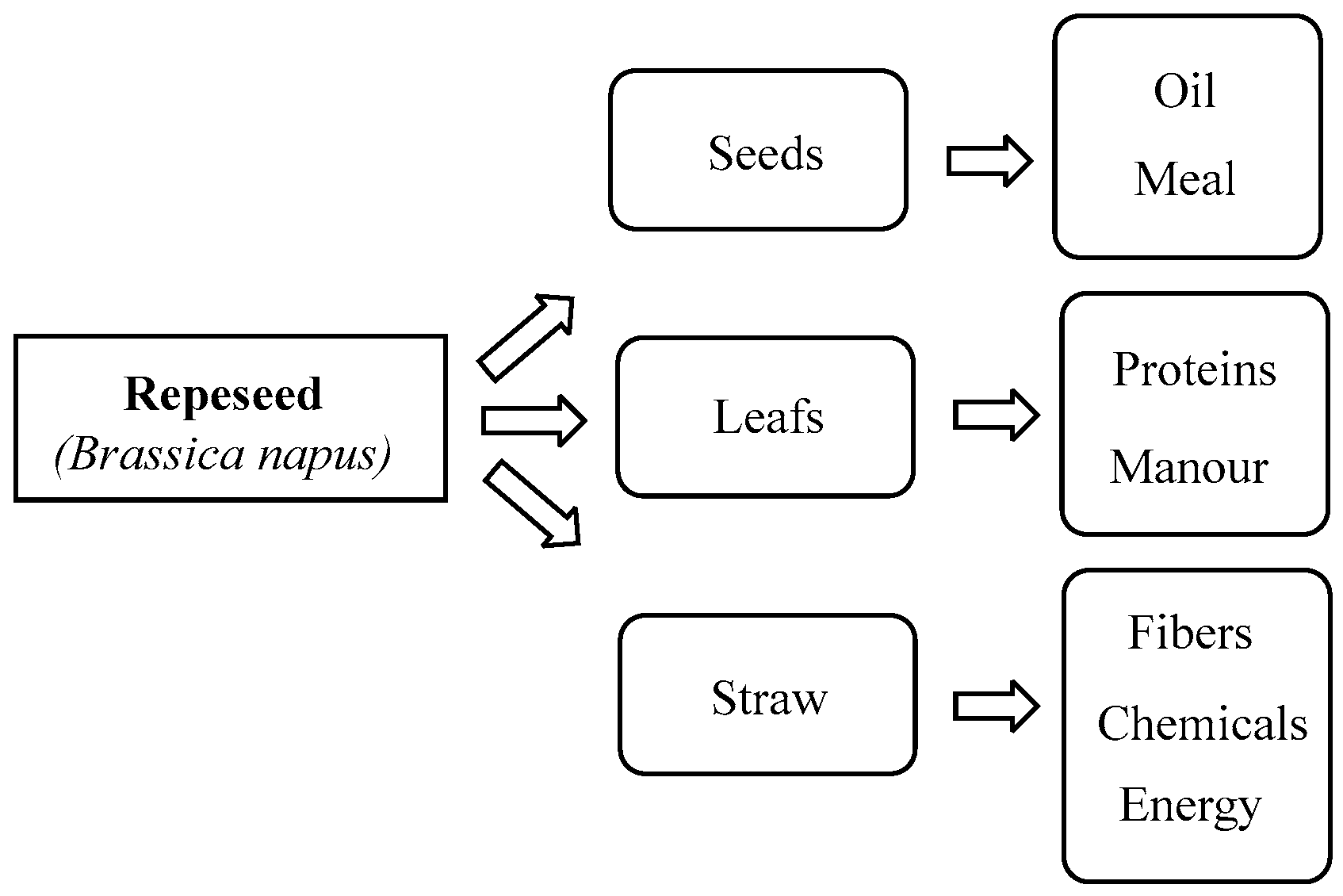 Biomolecules 15 00917 g001