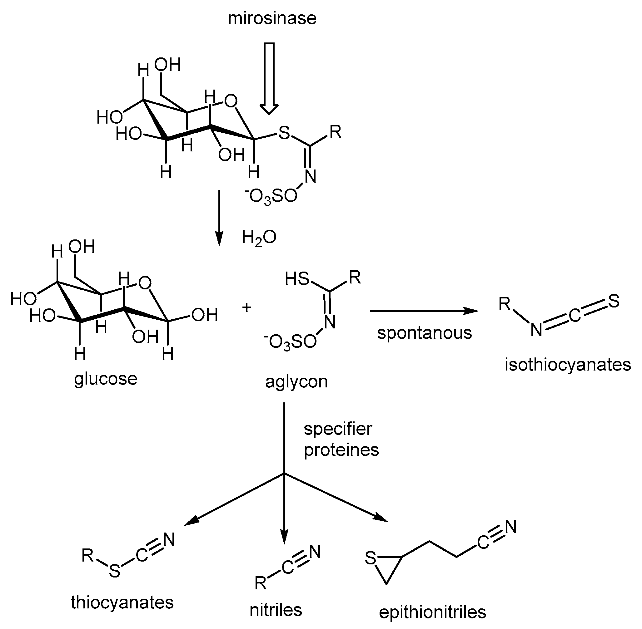 Biomolecules 15 00917 sch002