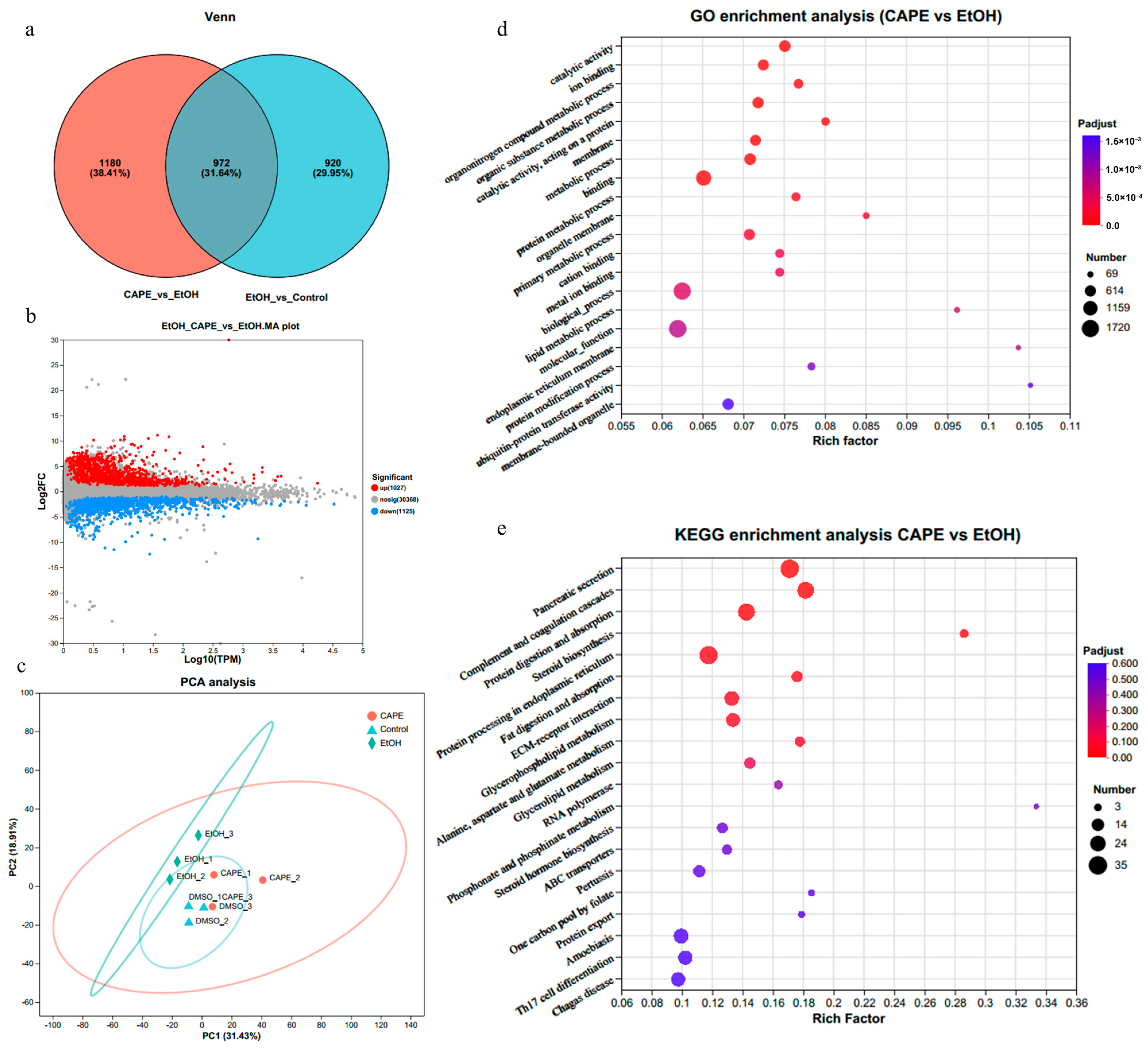 Biomolecules 15 00918 g002