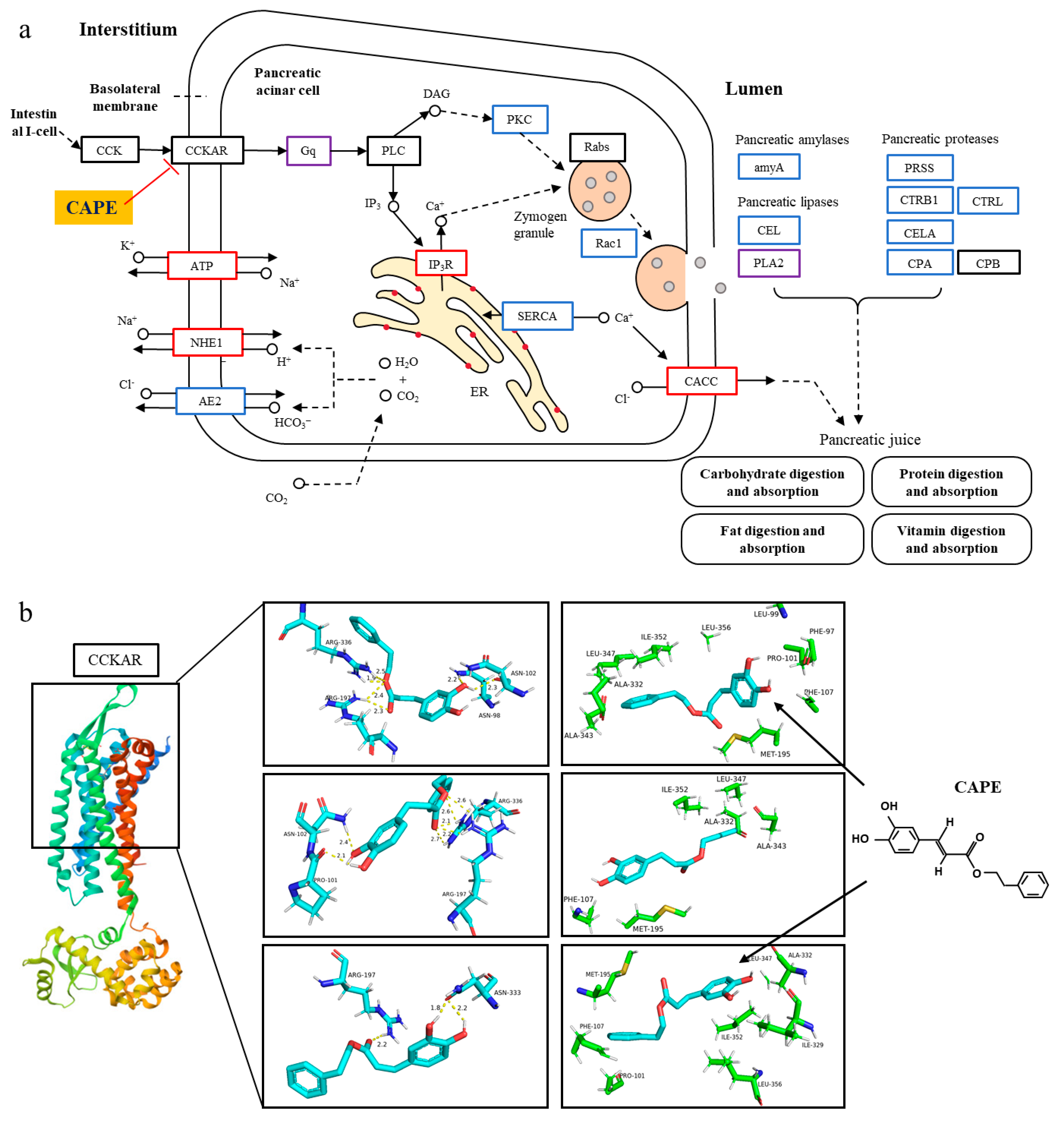 Biomolecules 15 00918 g003