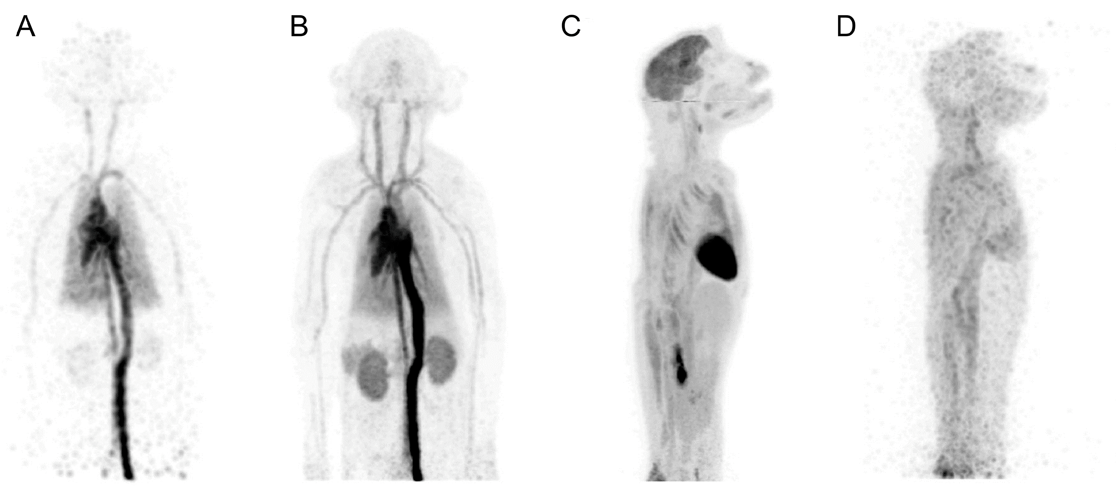 Biomolecules 15 00919 g002