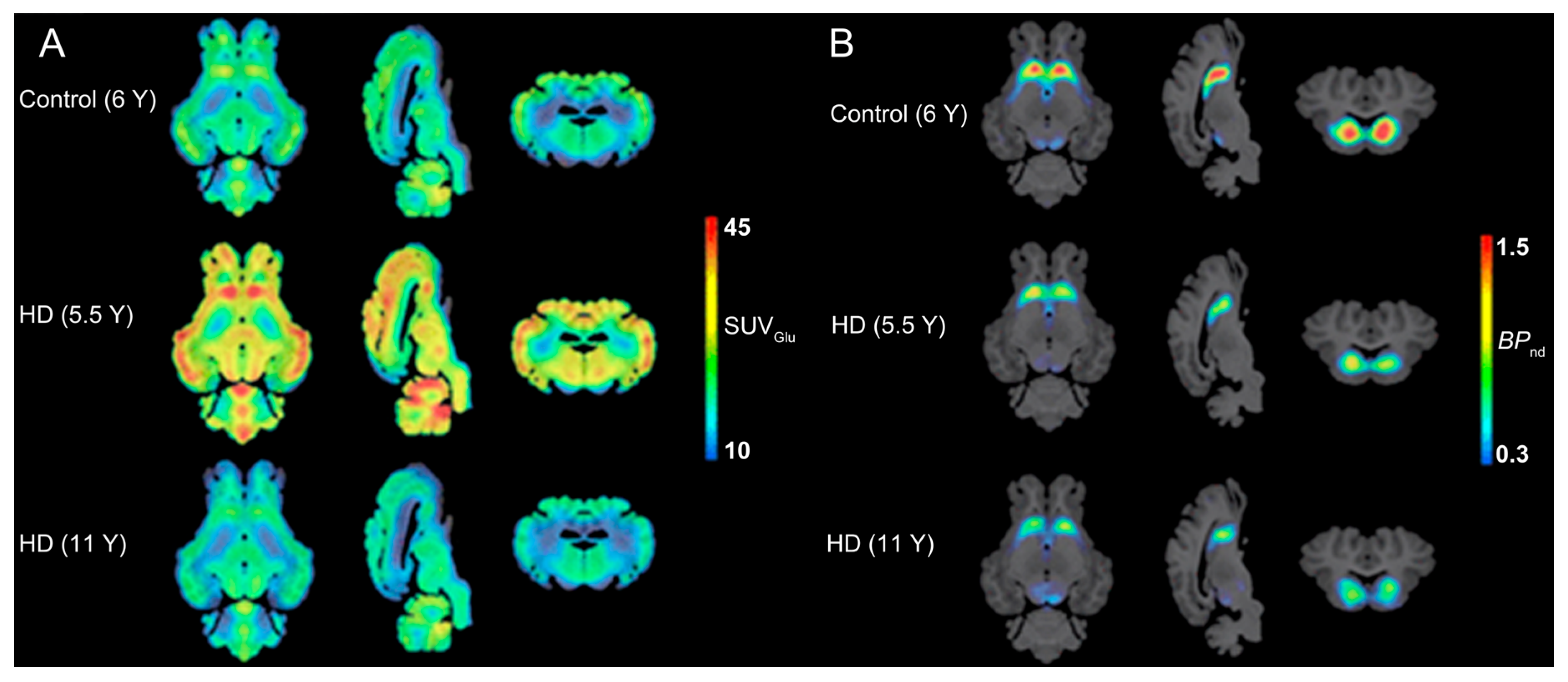Biomolecules 15 00919 g004