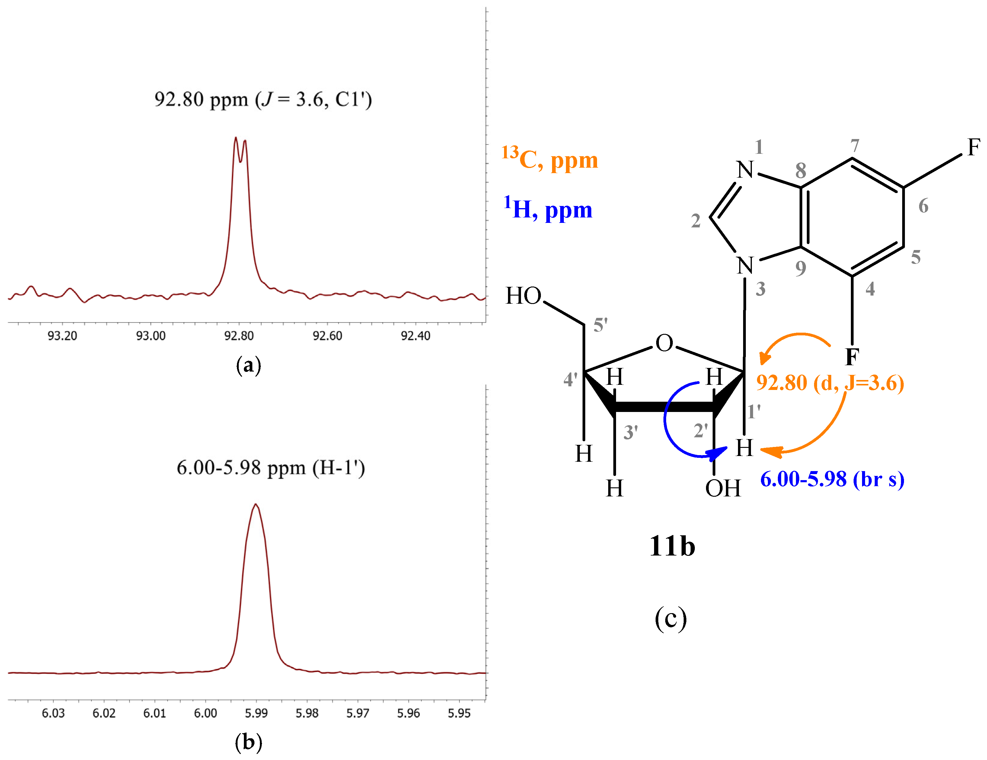 Biomolecules 15 00922 g007 Biomolecules 15 00922 g007
