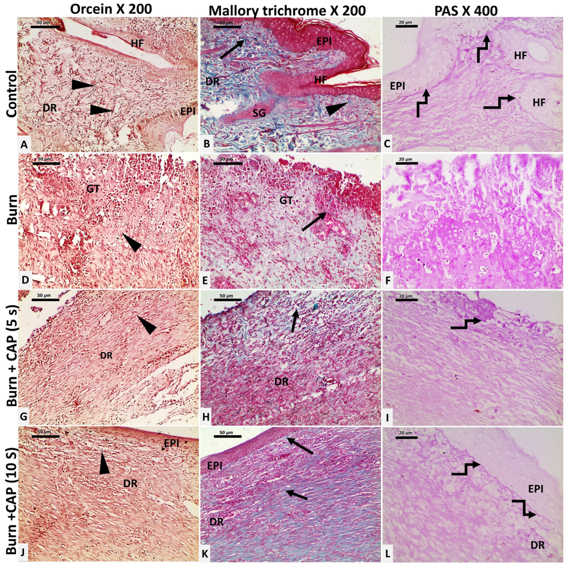 Biomolecules 15 00924 g003