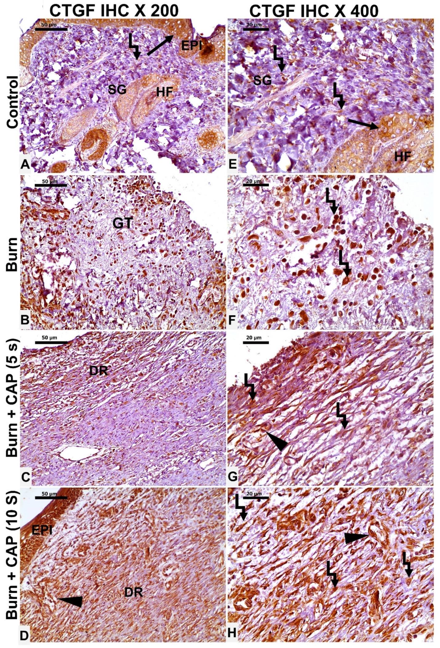 Biomolecules 15 00924 g006