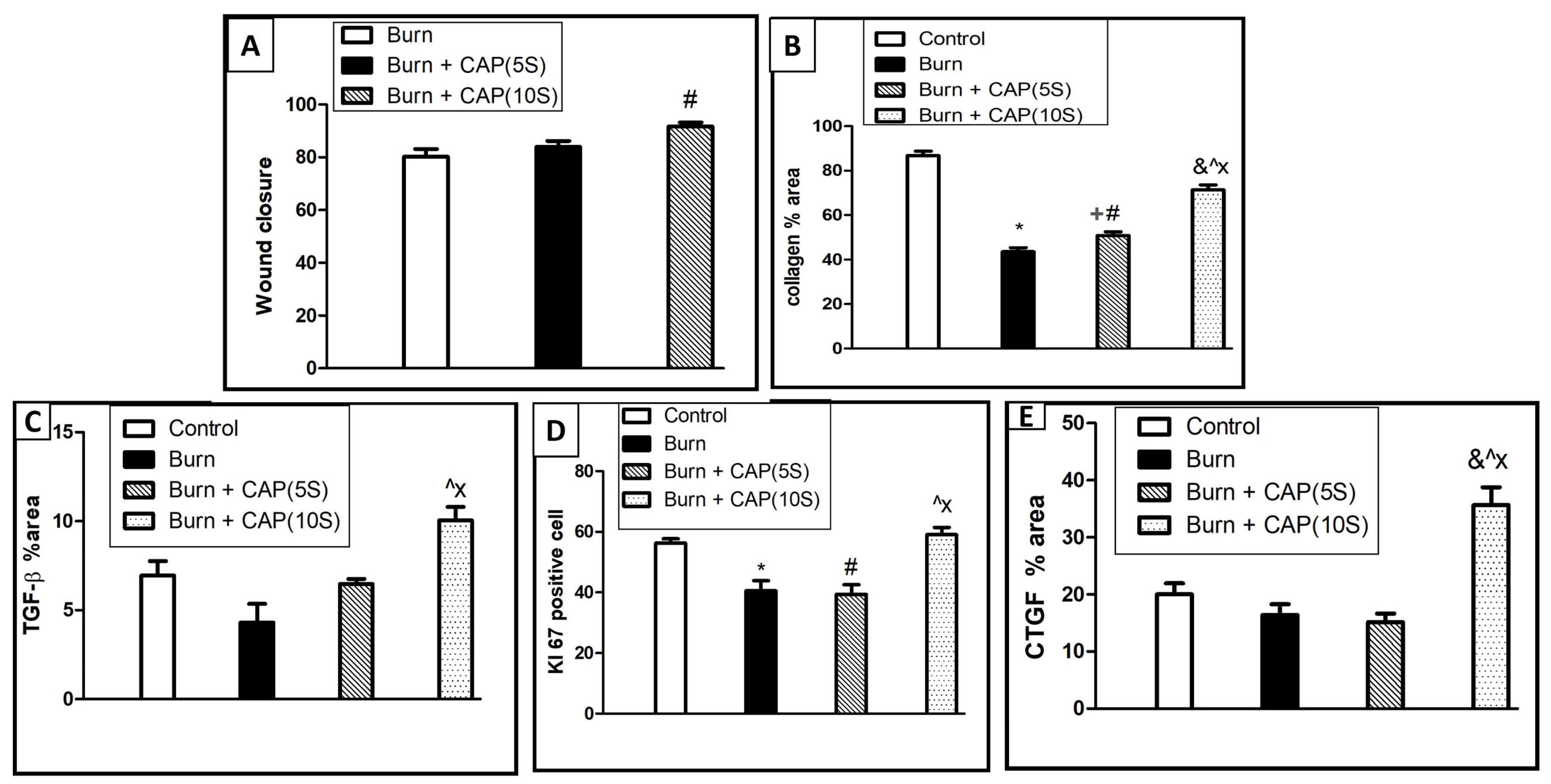 Biomolecules 15 00924 g007