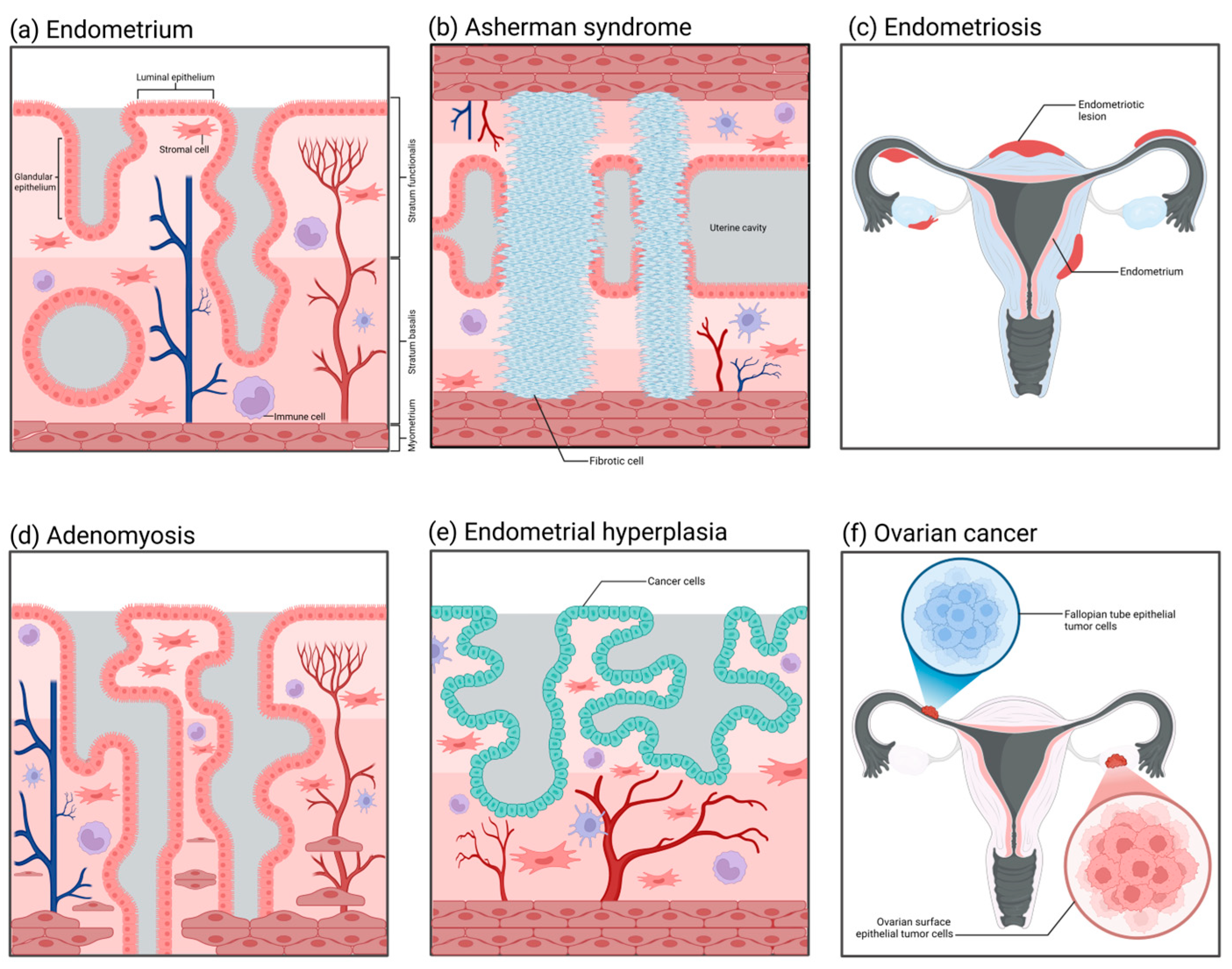 Biomolecules 15 00925 g004