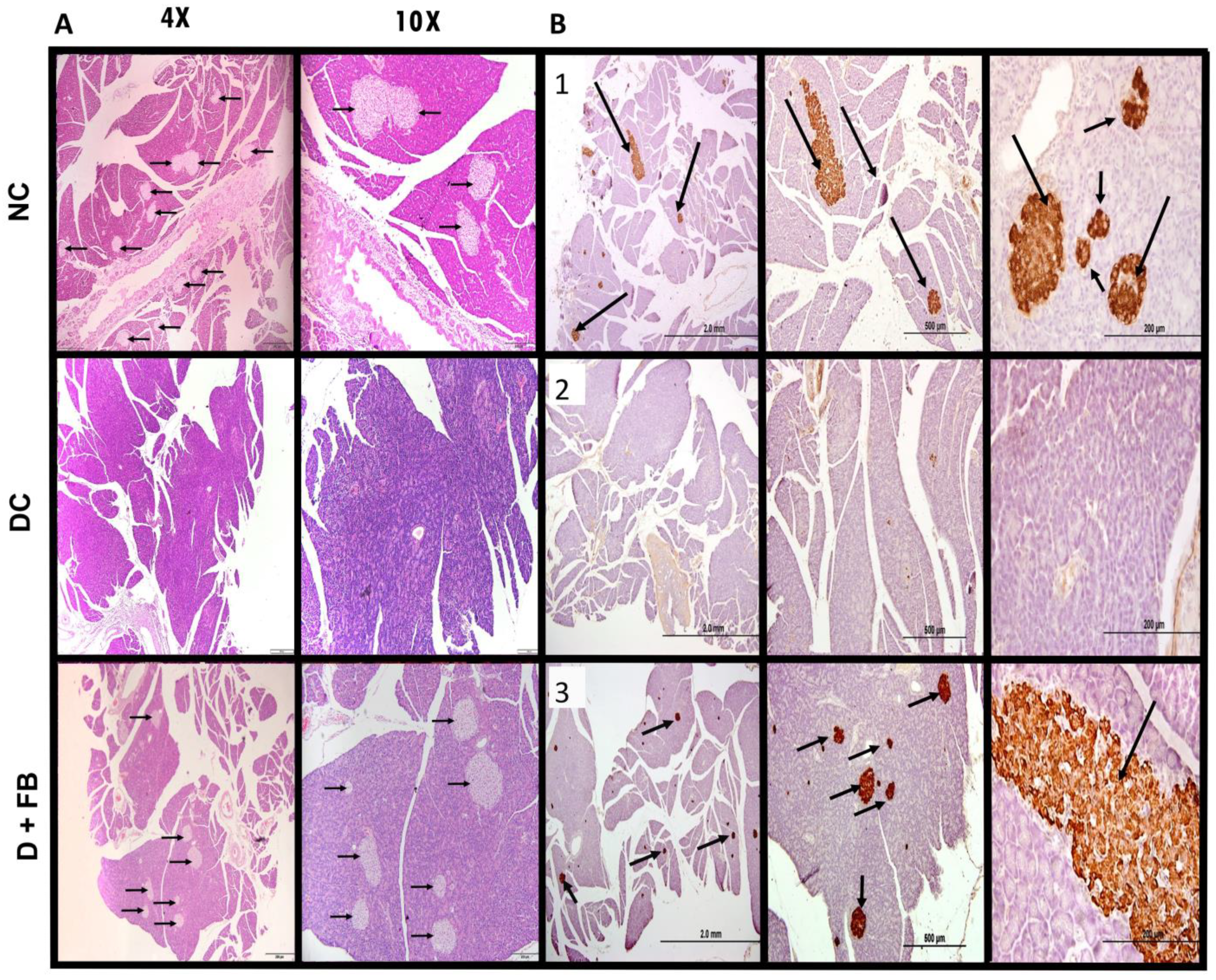 Biomolecules 15 00929 g004