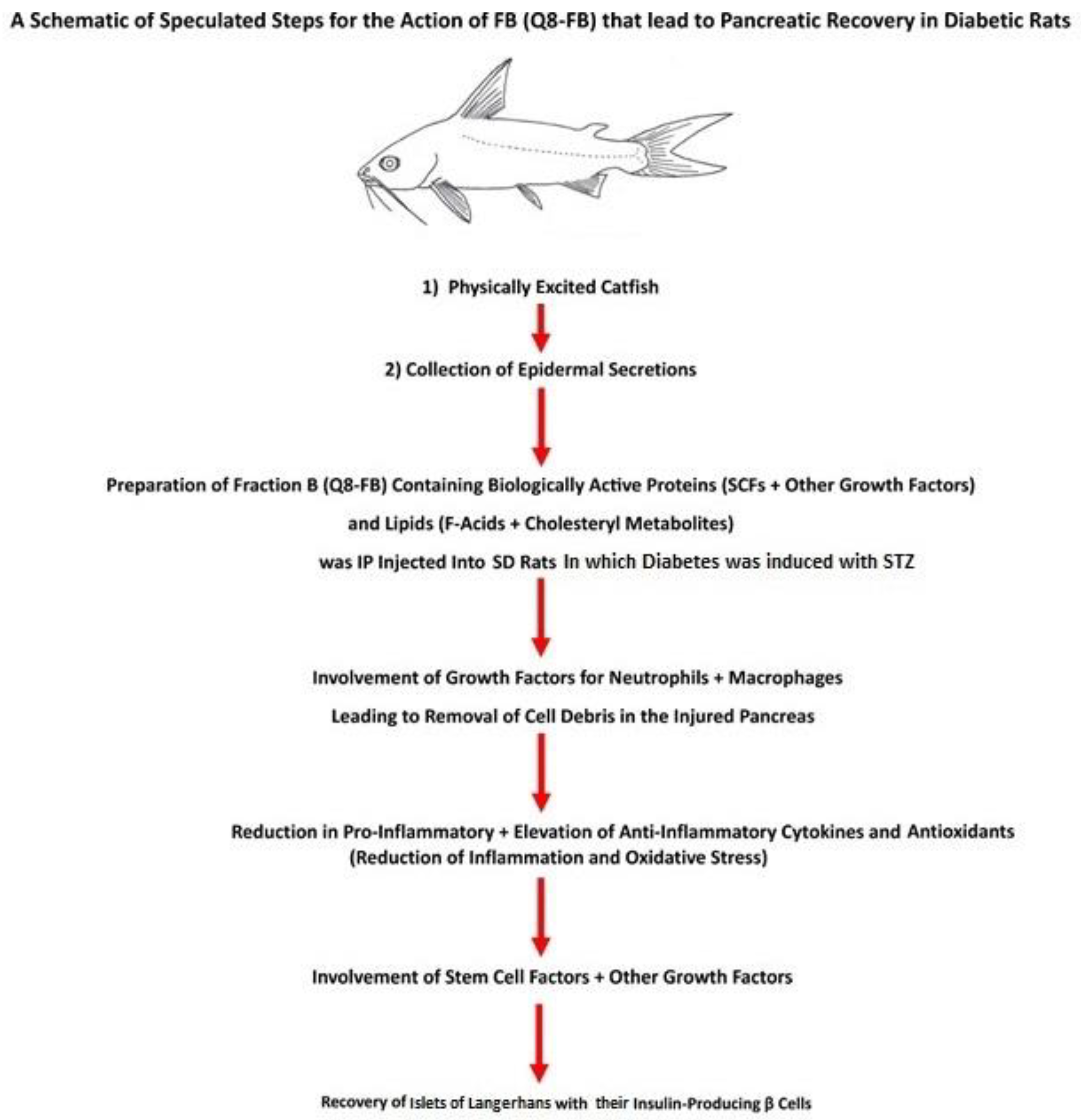 Biomolecules 15 00929 g010