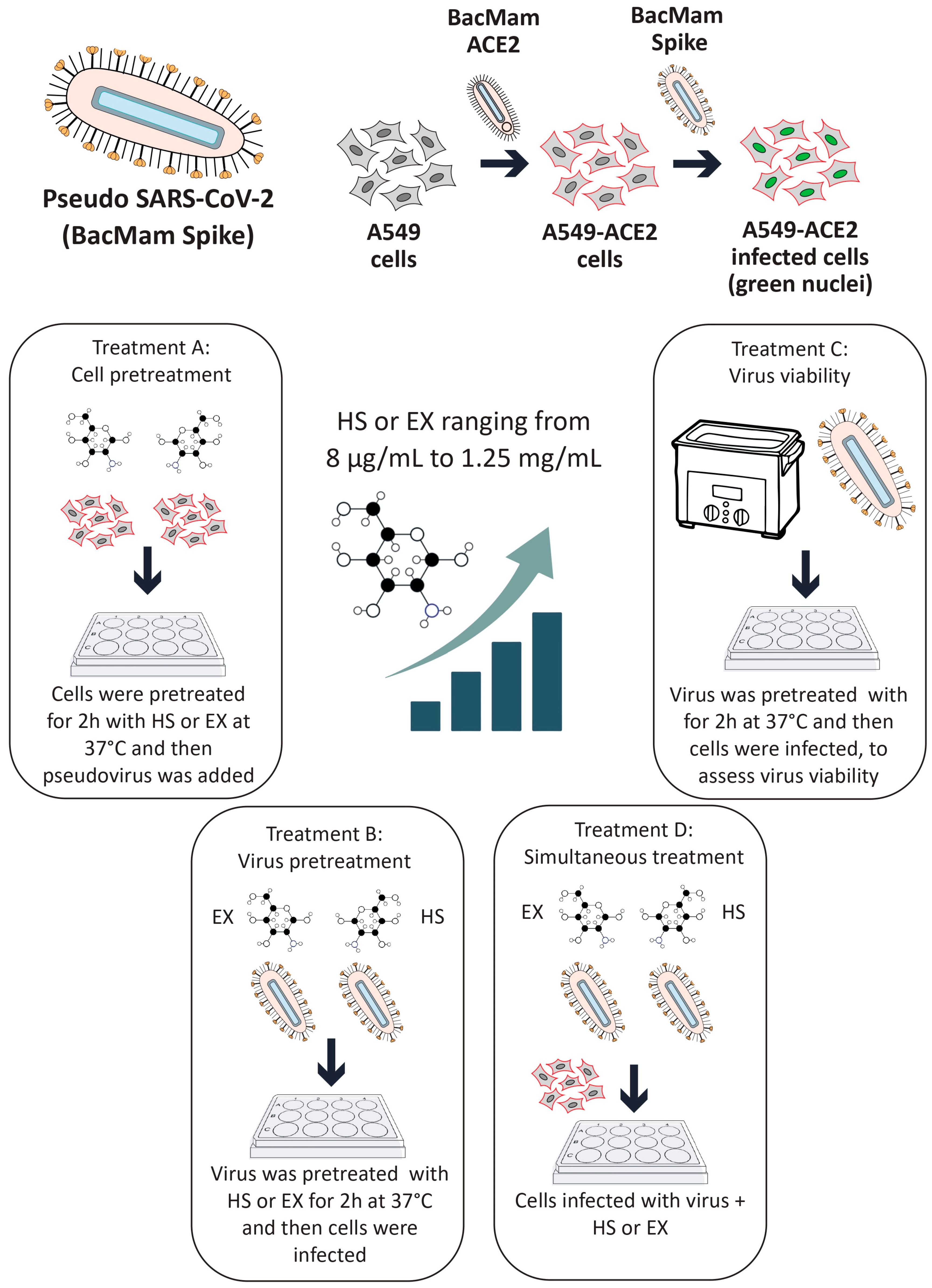 Biomolecules 15 00931 g001