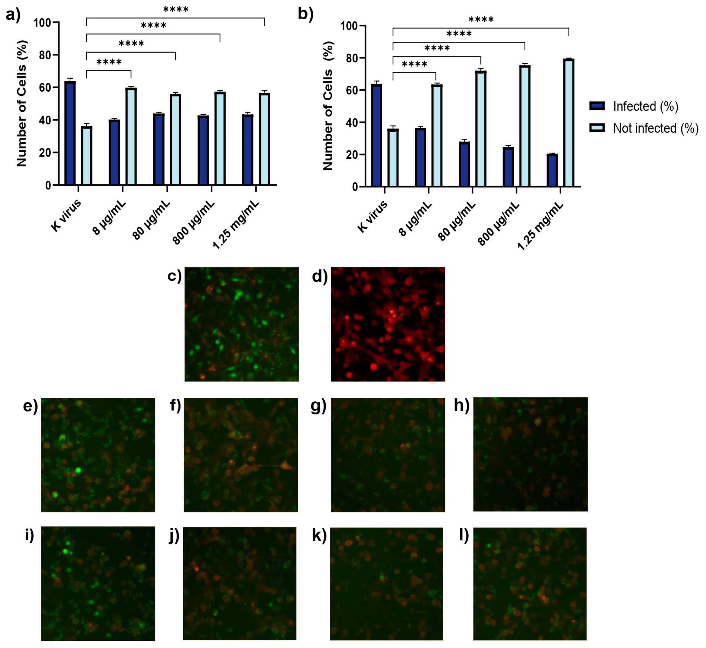 Biomolecules 15 00931 g002