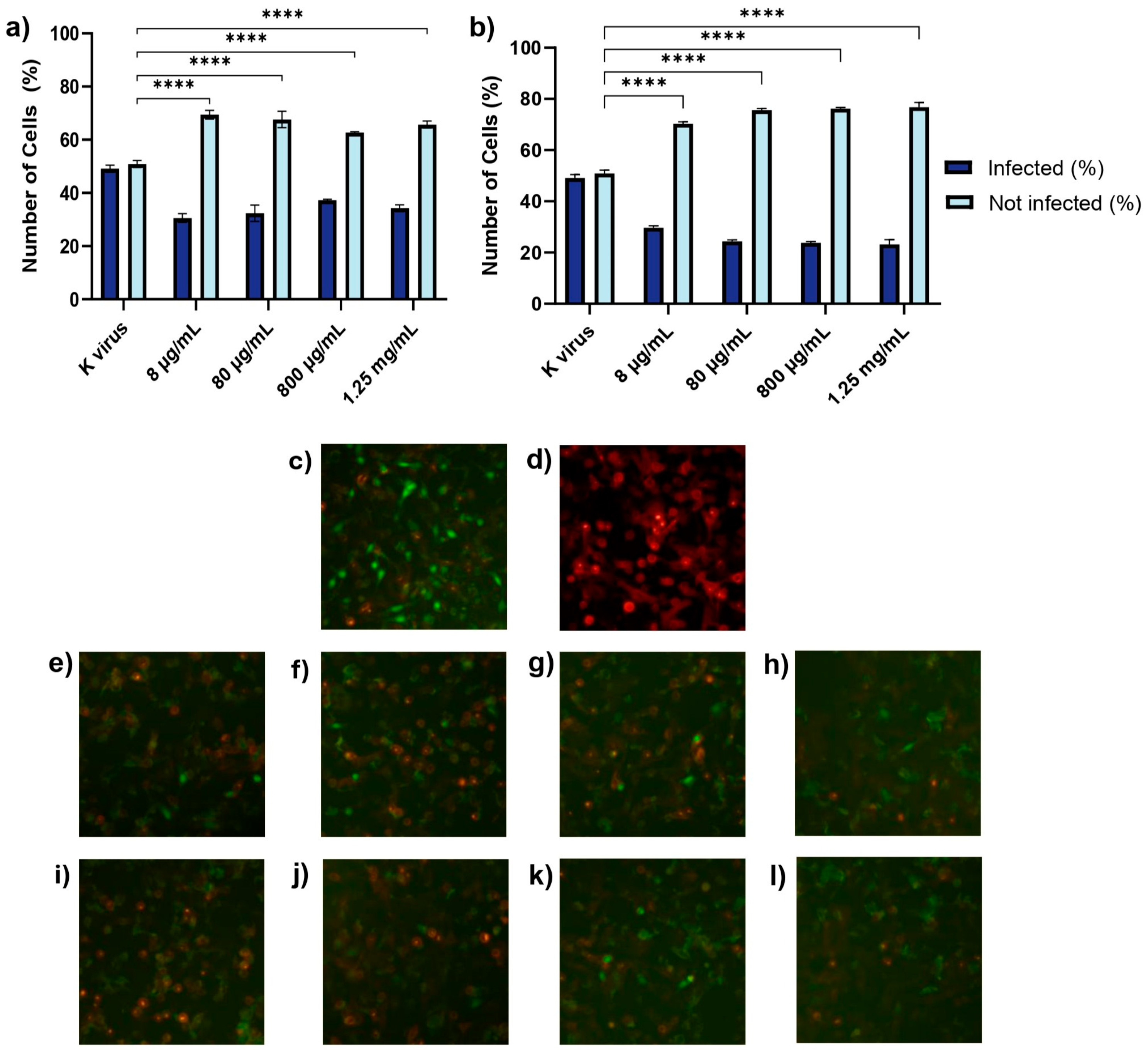 Biomolecules 15 00931 g004
