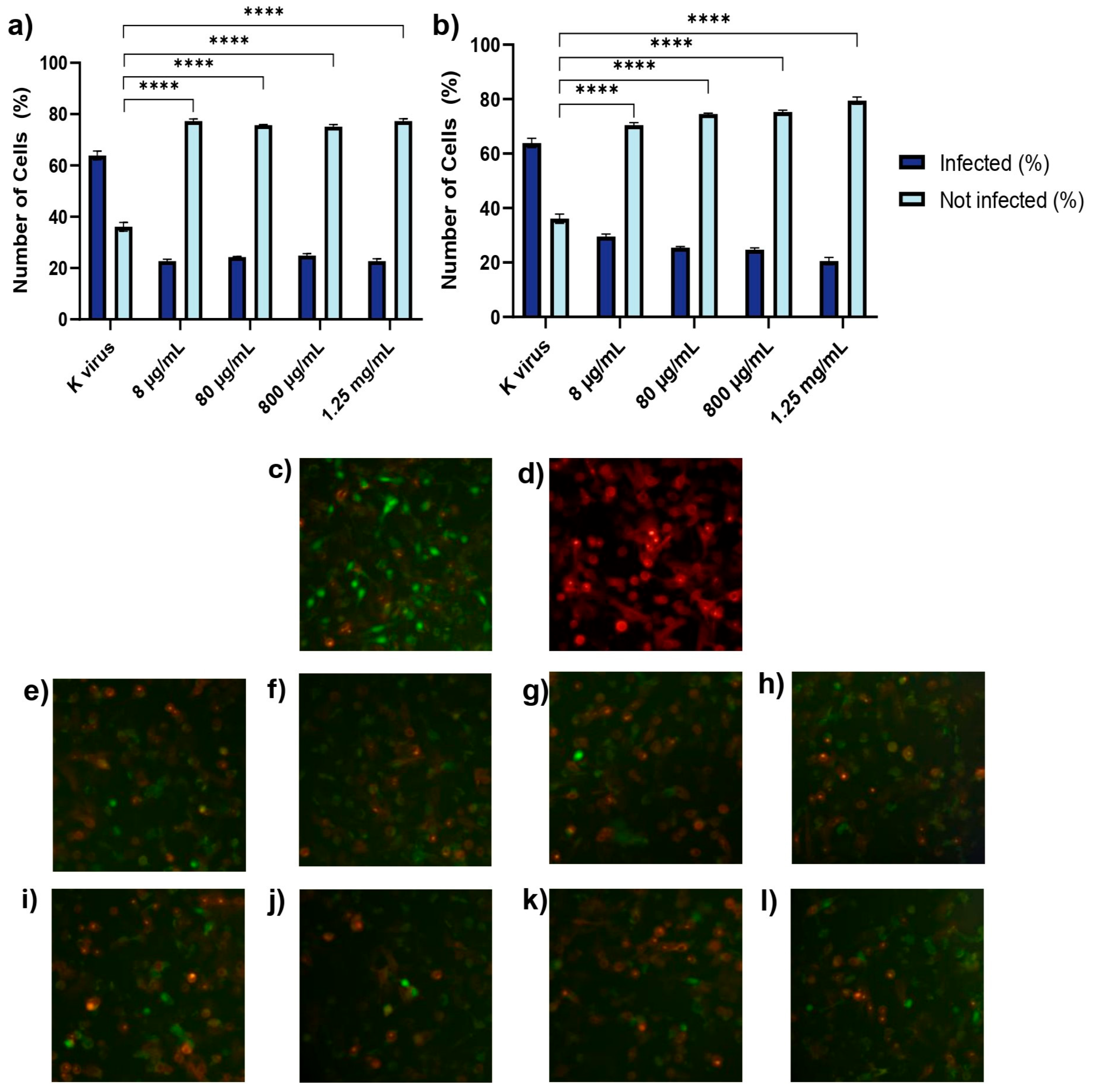 Biomolecules 15 00931 g005